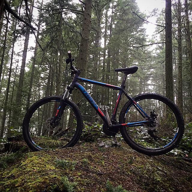 Trek 3700 Disc: A colorful mountain bike resting on a mossy surface in a dense forest with tall trees and a misty atmosphere.