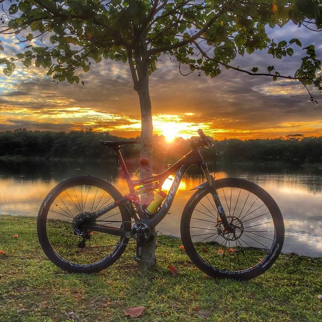 Pivot Mach 429 Carbon: A mountain bike leaning against a tree at sunset, with vibrant orange and yellow hues reflecting off a calm lake in the background. The scene captures the tranquility of nature, surrounded by greenery and scattered leaves.