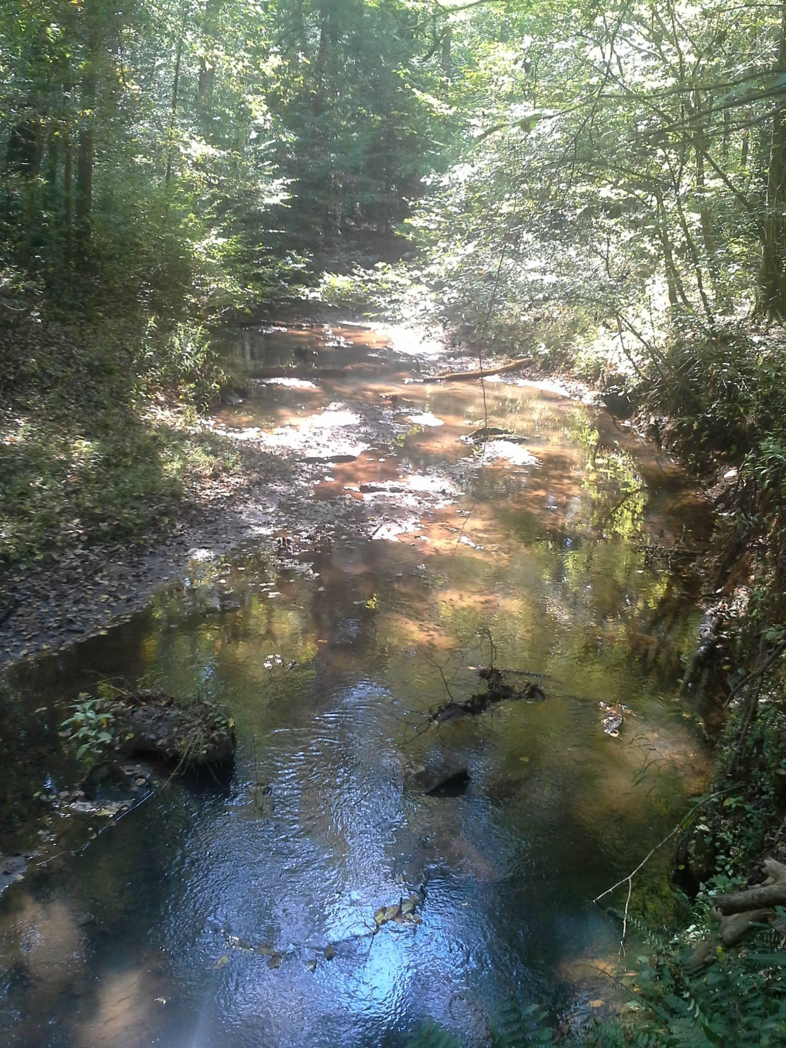 A serene view of a meandering creek surrounded by lush green trees and sunlight filtering through the canopy. The water reflects various shades of blue and brown, with rocks and fallen branches visible beneath the surface, creating a peaceful natural landscape. Hard Labor Creek State Park mountain bike trail.