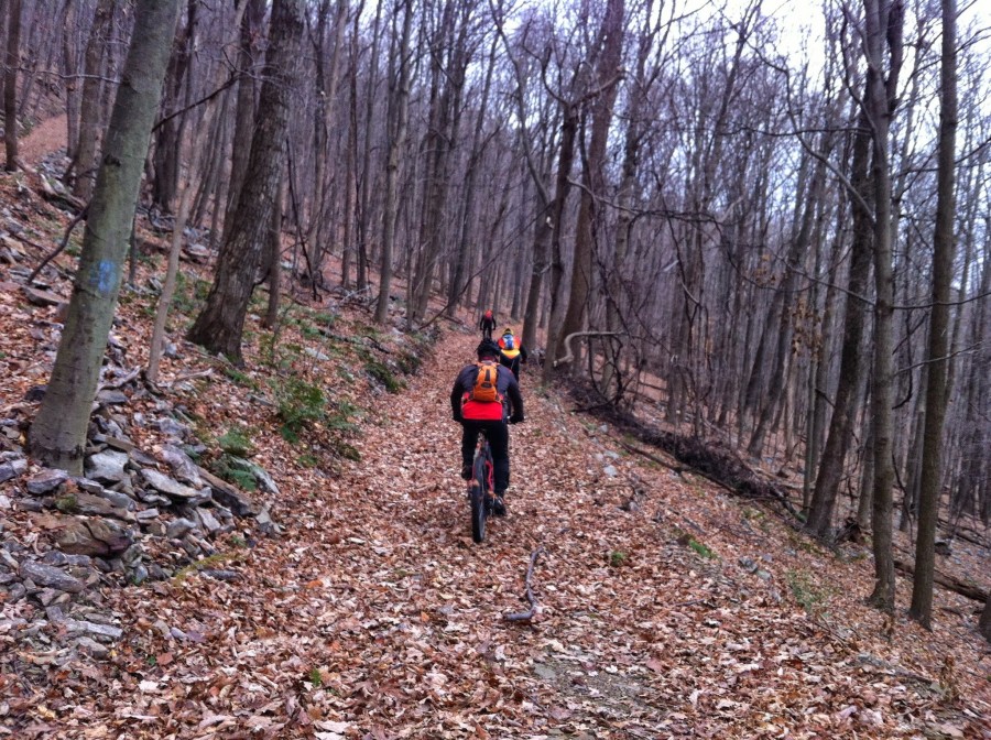 My Top 5 The Best Mountain Bike Trails in Central Pennsylvania