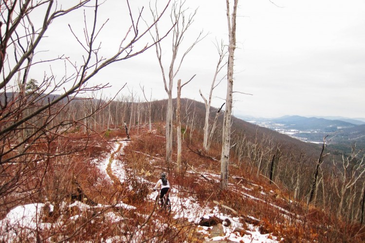 A scenic view of a mountainous landscape in early winter, featuring a winding dirt trail surrounded by sparse trees with bare branches. The foreground includes patches of snow and reddish-brown foliage, while the distant mountains are partially shrouded under a cloudy sky. A mountain biker can be seen riding along the trail, adding a sense of activity to the serene natural setting.
