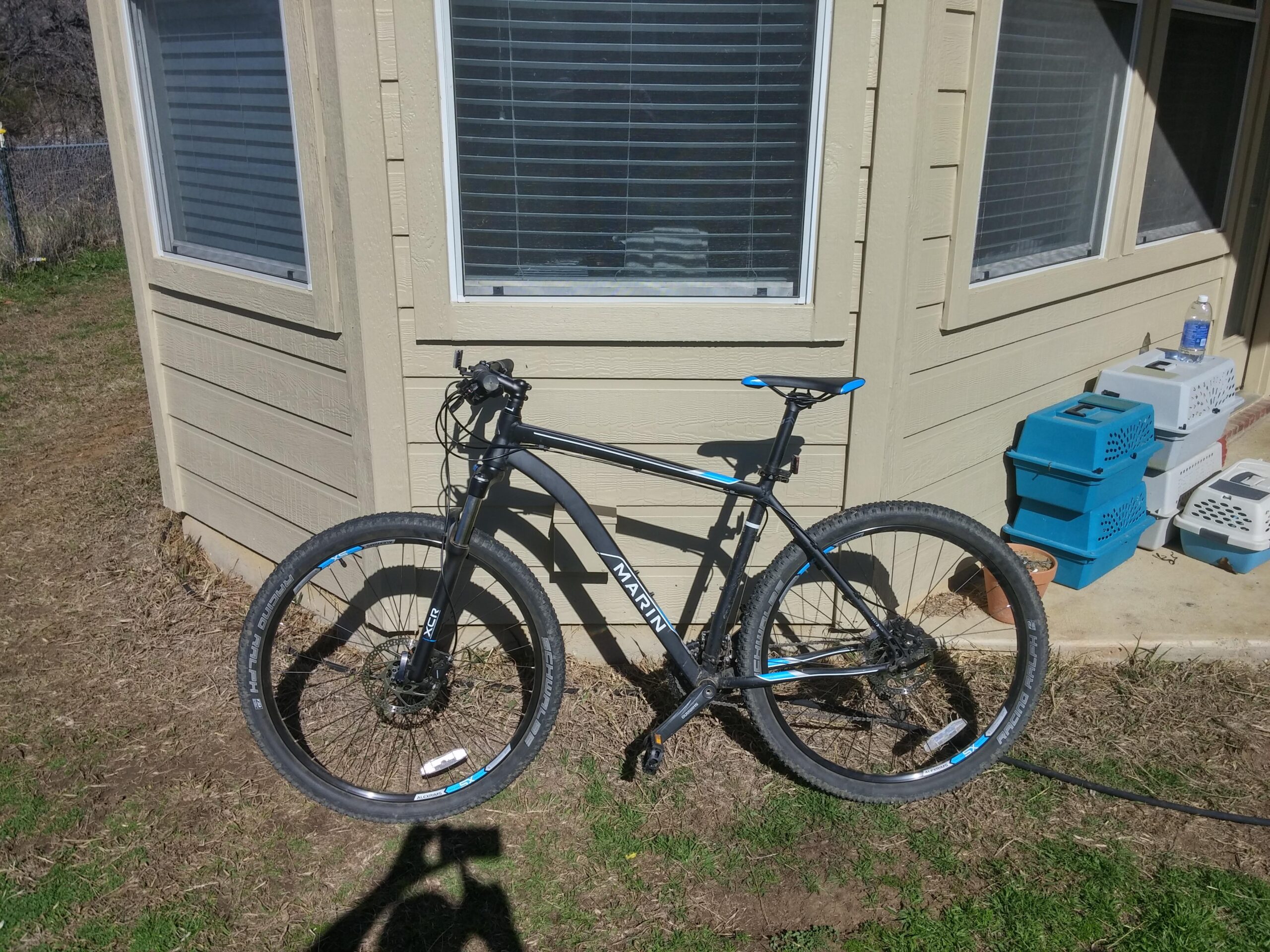 Marin Bobcat Trail: A black mountain bike with blue accents stands near the corner of a house, positioned next to windows with blinds. In the background, there are a few pet carriers and a water bottle on a stone surface, and the grassy area is visible in the foreground.