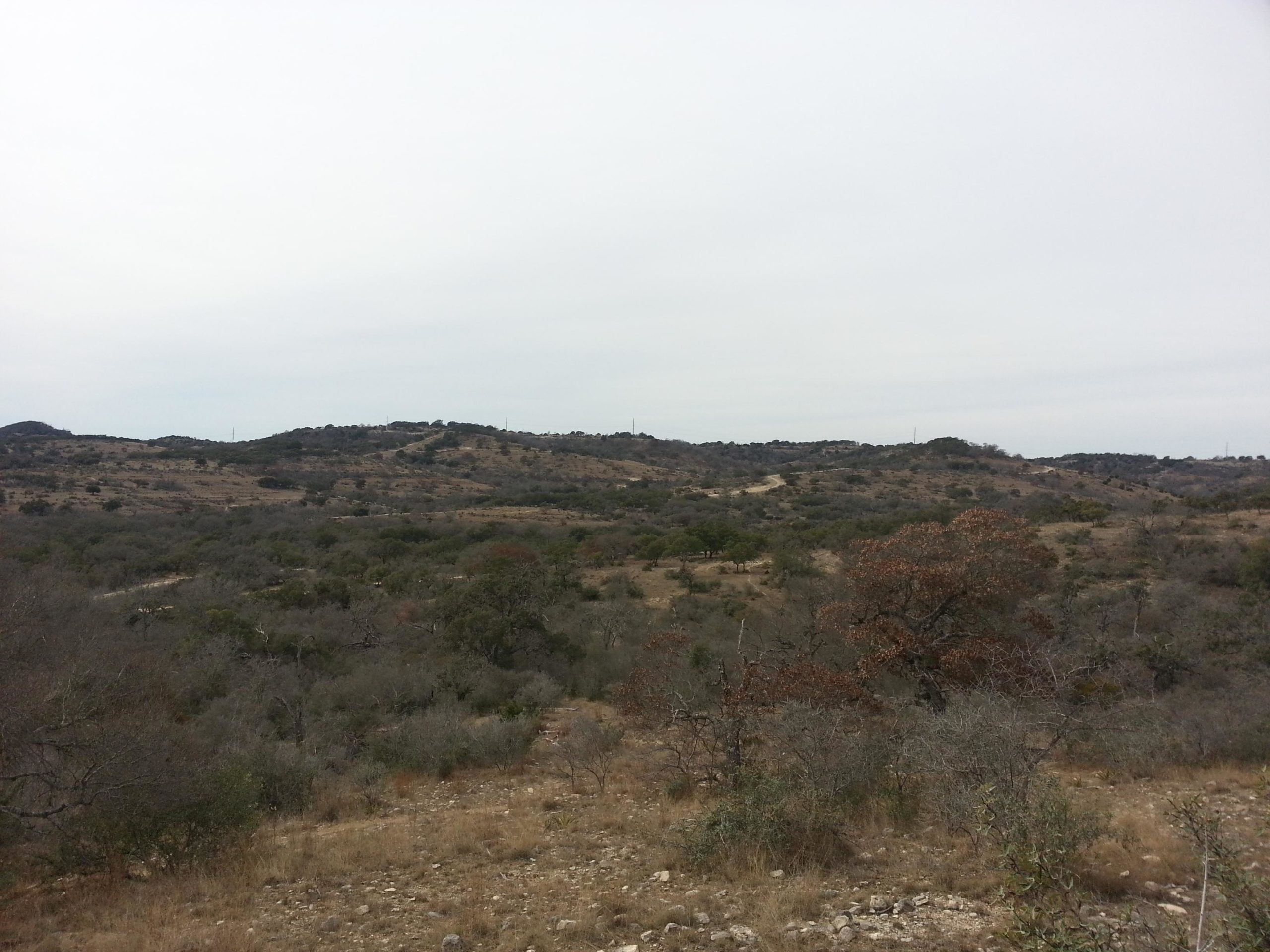 A wide view of a hilly landscape with sparse vegetation, featuring a mix of dry grass and scattered bushes. The sky is overcast with a light gray hue, creating a serene atmosphere. In the background, rolling hills are visible, with faint power lines stretching across the horizon. Flat Rock Upper Loop mountain bike trail.