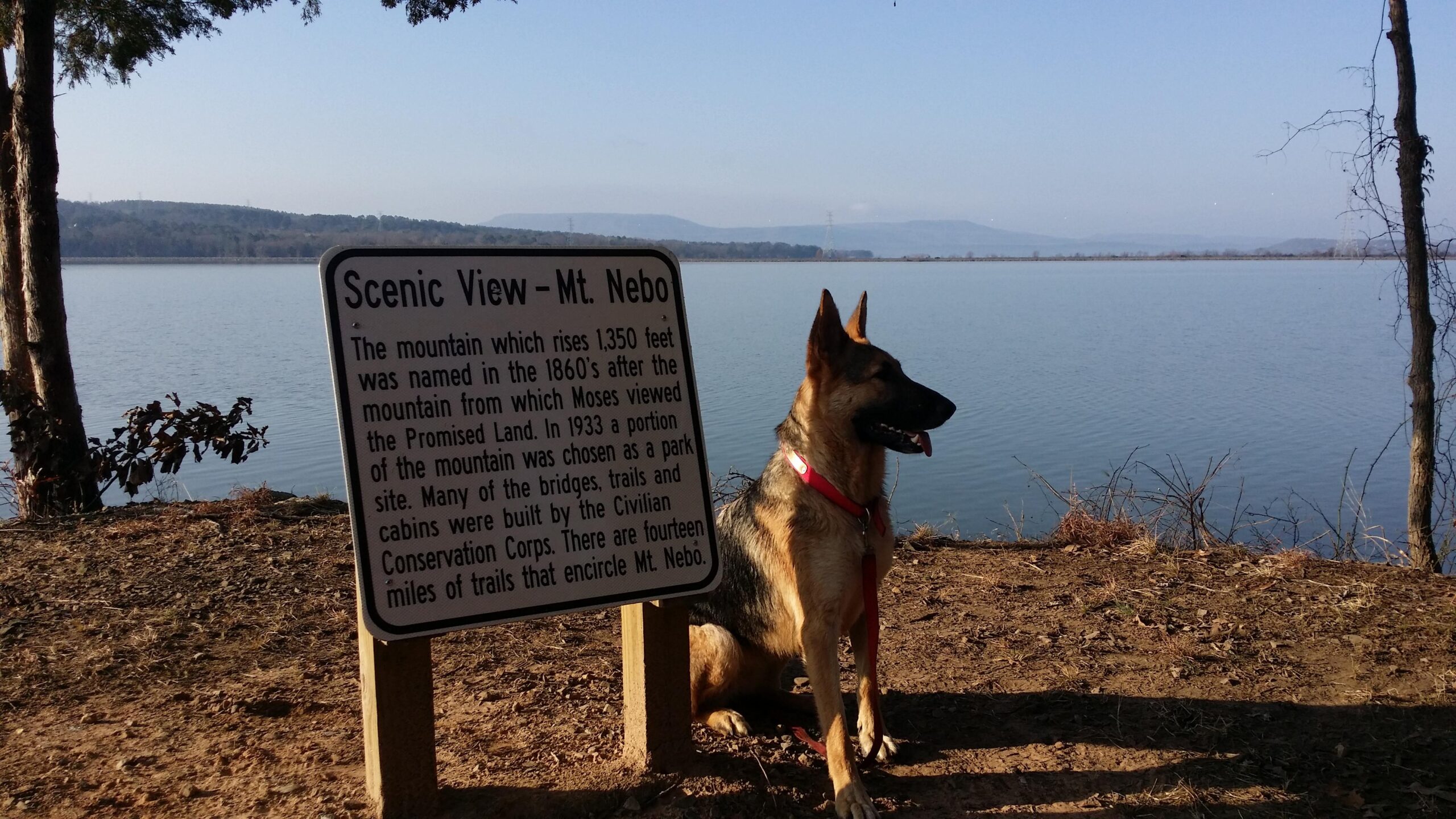 Trek 8.3 DS: A German Shepherd sitting next to a sign that reads "Scenic View - Mt. Nebo," with a calm lake and mountains visible in the background. The scene is bathed in natural light, showcasing the waterfront and surrounding trees.