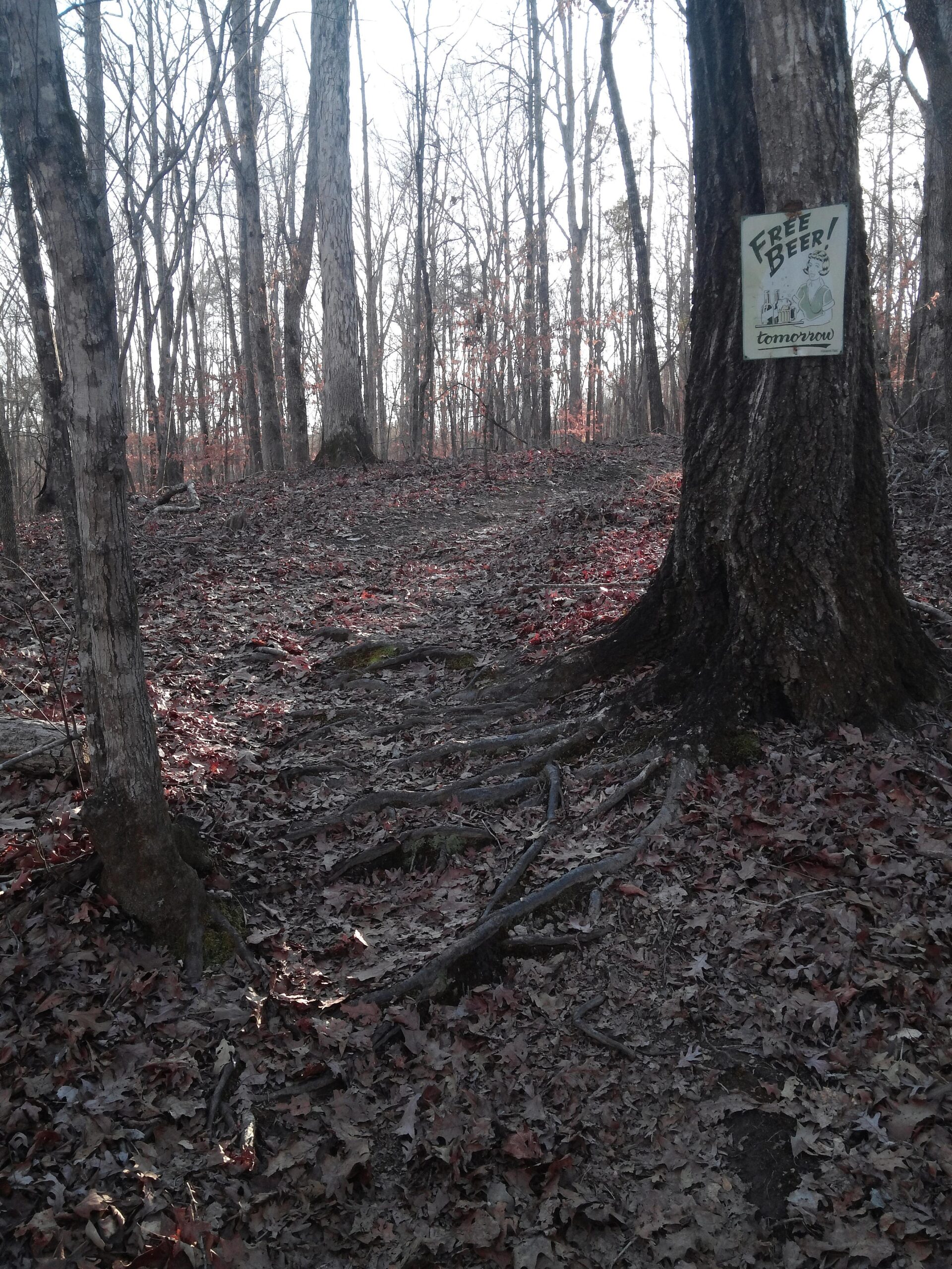 A wooded trail winding through a forest with bare trees, scattered red and brown leaves on the ground. A tree on the right displays a humorous sign reading "Free Beer! Tomorrow." The overall scene evokes a quiet, autumnal atmosphere. Selma Erwin Nature Trail mountain bike trail.