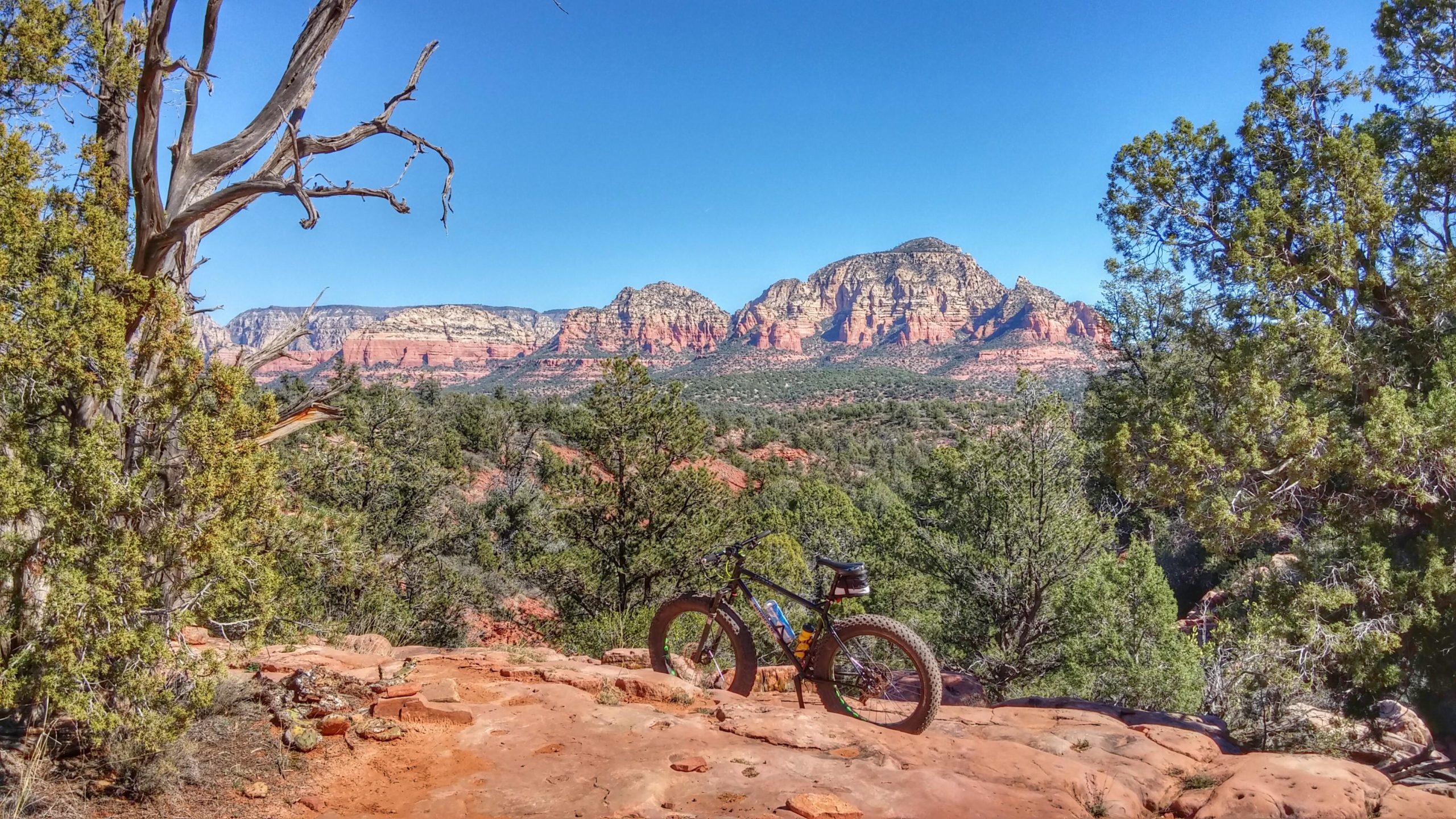 A scenic view of a rocky landscape with tall mountains in the background, featuring a variety of green trees. In the foreground, a mountain bike with fat tires rests on a rocky path, set against a clear blue sky. Chuck Wagon mountain bike trail.