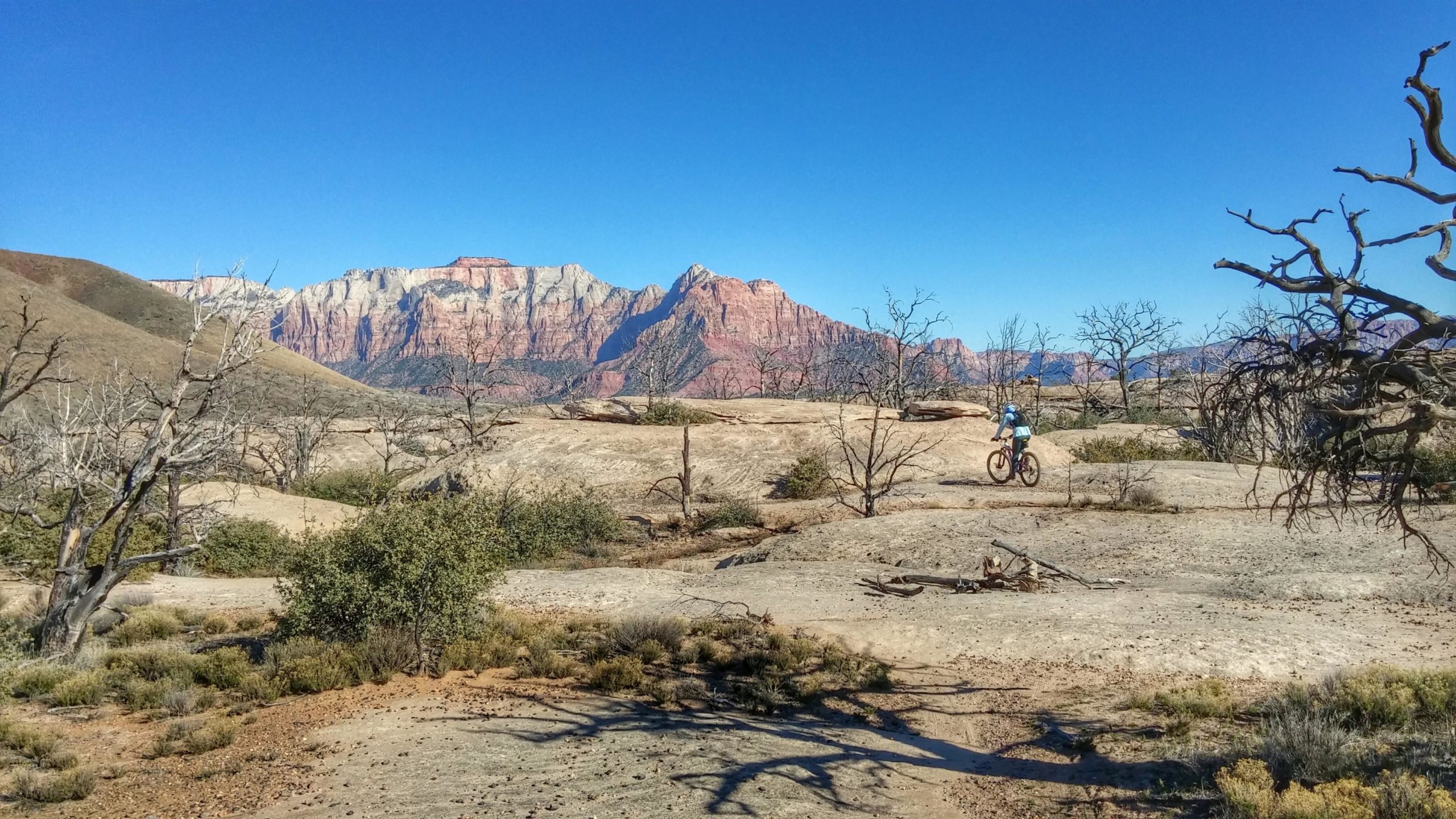 A cyclist riding a mountain bike on rocky terrain with view of colorful cliffs and mountains in the background under a clear blue sky. Sparse vegetation and dry trees are visible in the foreground. Guacamole Mesa mountain bike trail.