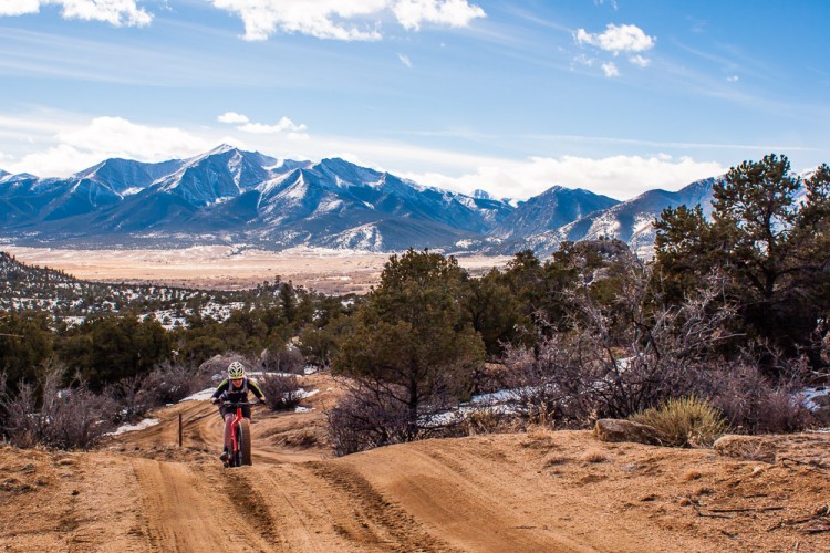 Mountain biker riding on a dirt trail surrounded by lush greenery and a backdrop of snow-capped mountains under a clear blue sky.