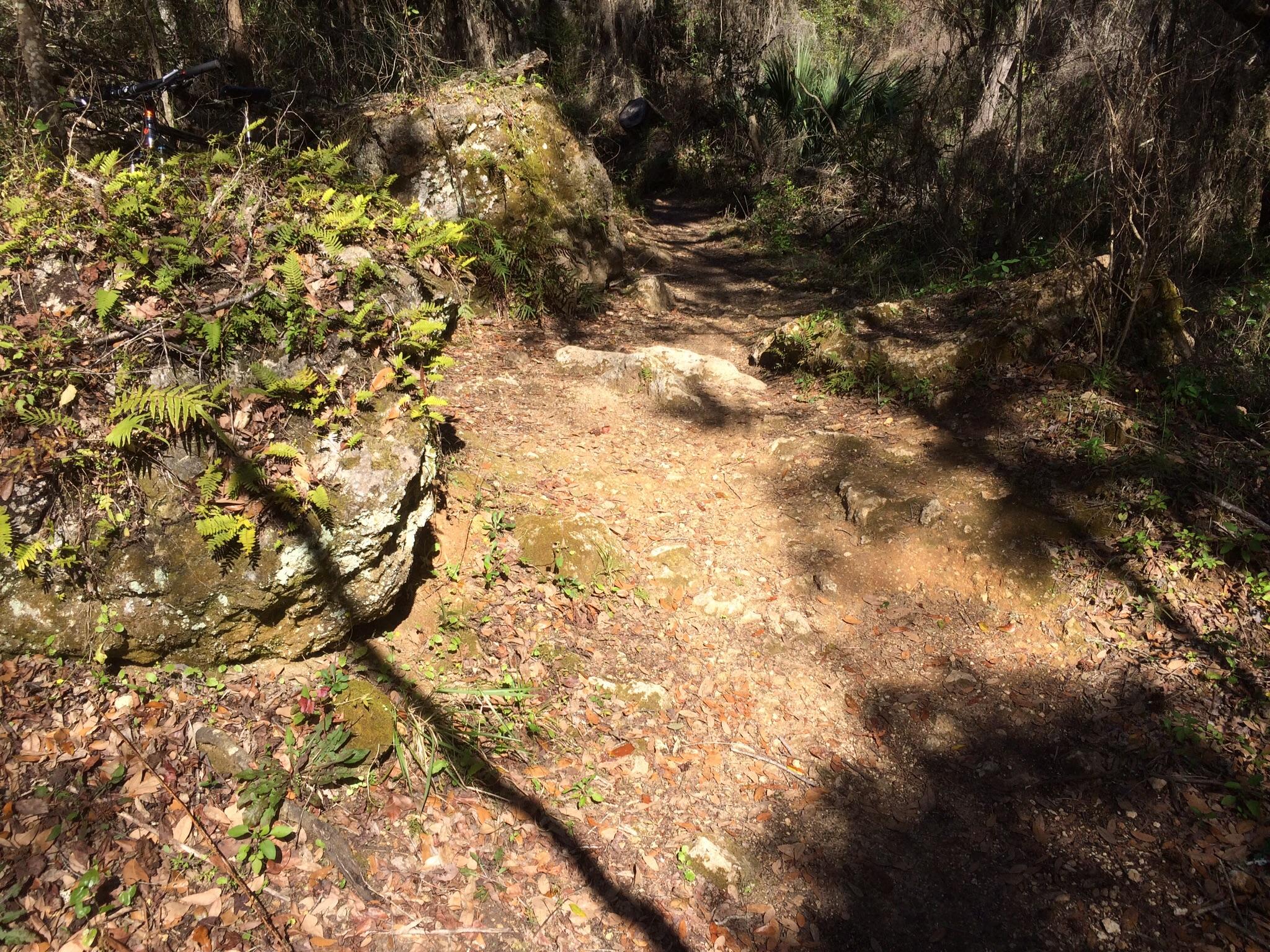 A narrow dirt trail winding through a forest, surrounded by rocks and lush greenery, with patches of sunlight filtering through the trees. John Brown mountain bike trail.