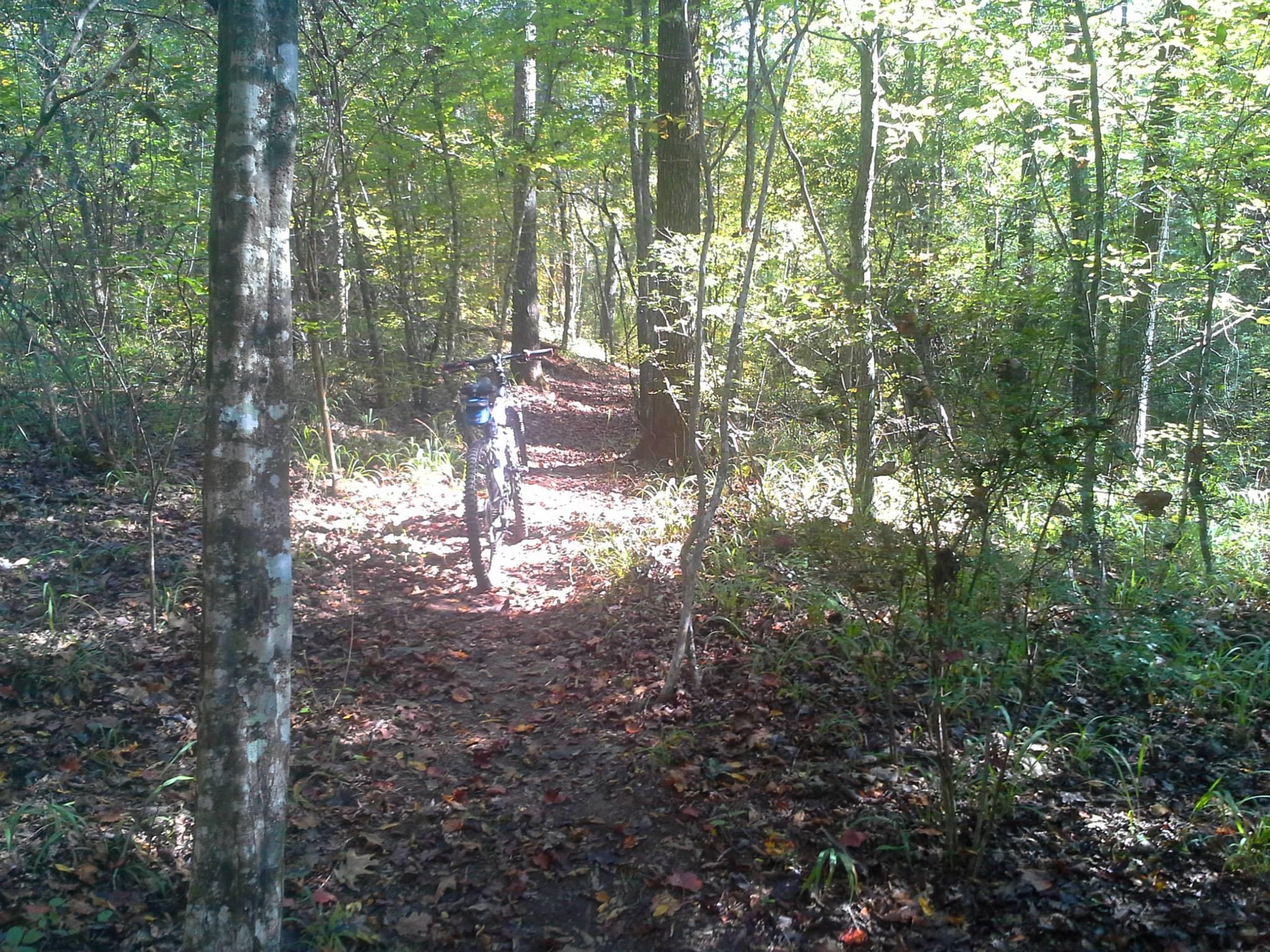 A narrow, sunlit dirt trail winds through a wooded area, surrounded by tall trees and lush green foliage. A mountain bike is positioned on the path, suggesting a peaceful outdoor adventure. Fallen leaves cover the ground, adding a touch of autumn color to the scene. Hard Labor Creek State Park mountain bike trail.