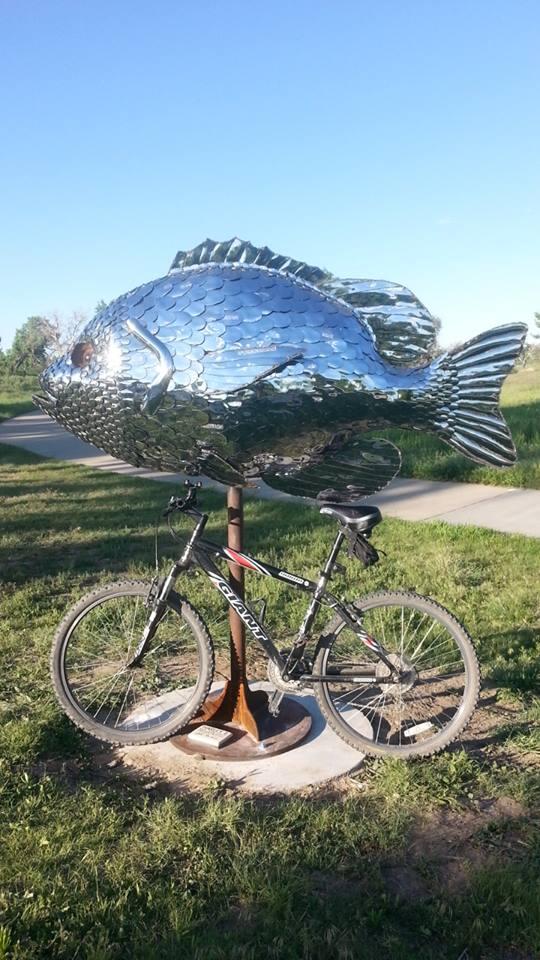 Giant Yukon: A large, shiny metal sculpture of a fish mounted on a pole stands next to a black mountain bike resting on the grass, with a clear blue sky and a paved walkway in the background.