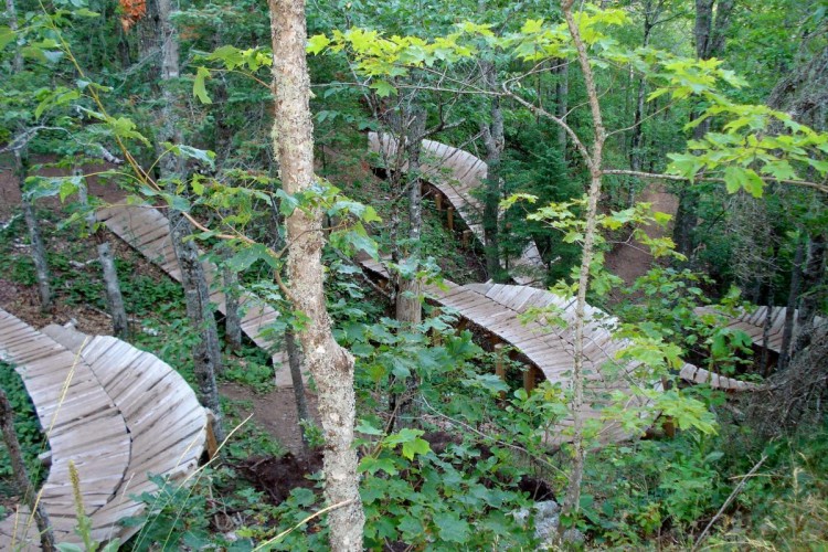 Aerial view of a winding wooden boardwalk path through a lush green forest, surrounded by trees and foliage.