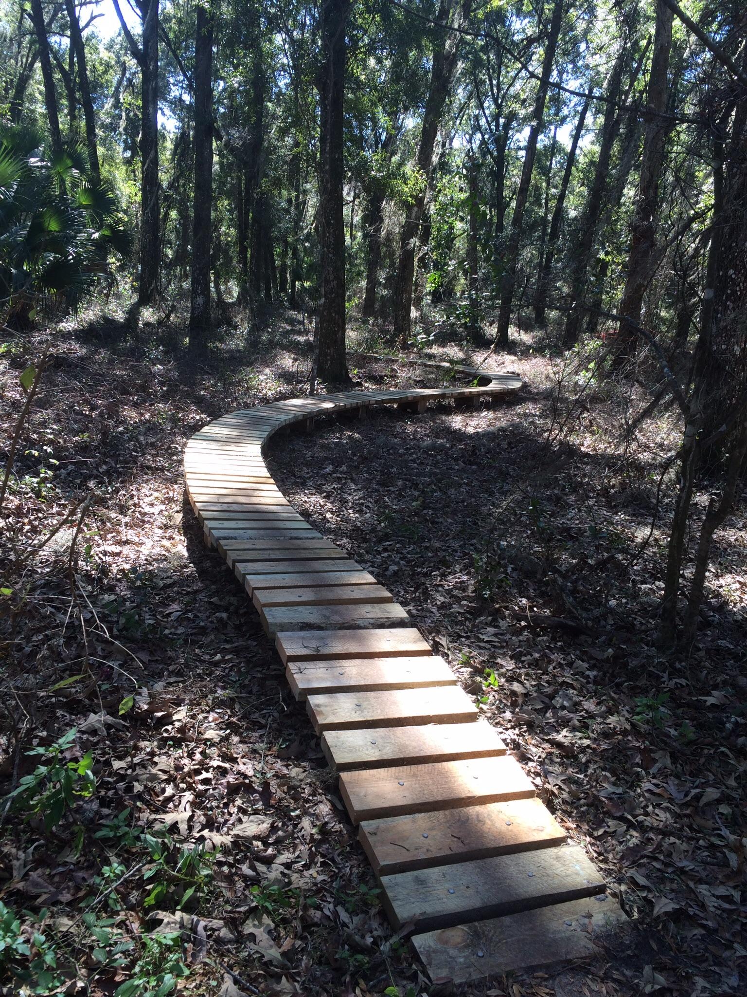 A wooden boardwalk meanders through a dense forest, surrounded by trees and greenery. Sunlight filters through the canopy, casting dappled shadows on the path and the ground covered with fallen leaves. Pine Tree Loop mountain bike trail.
