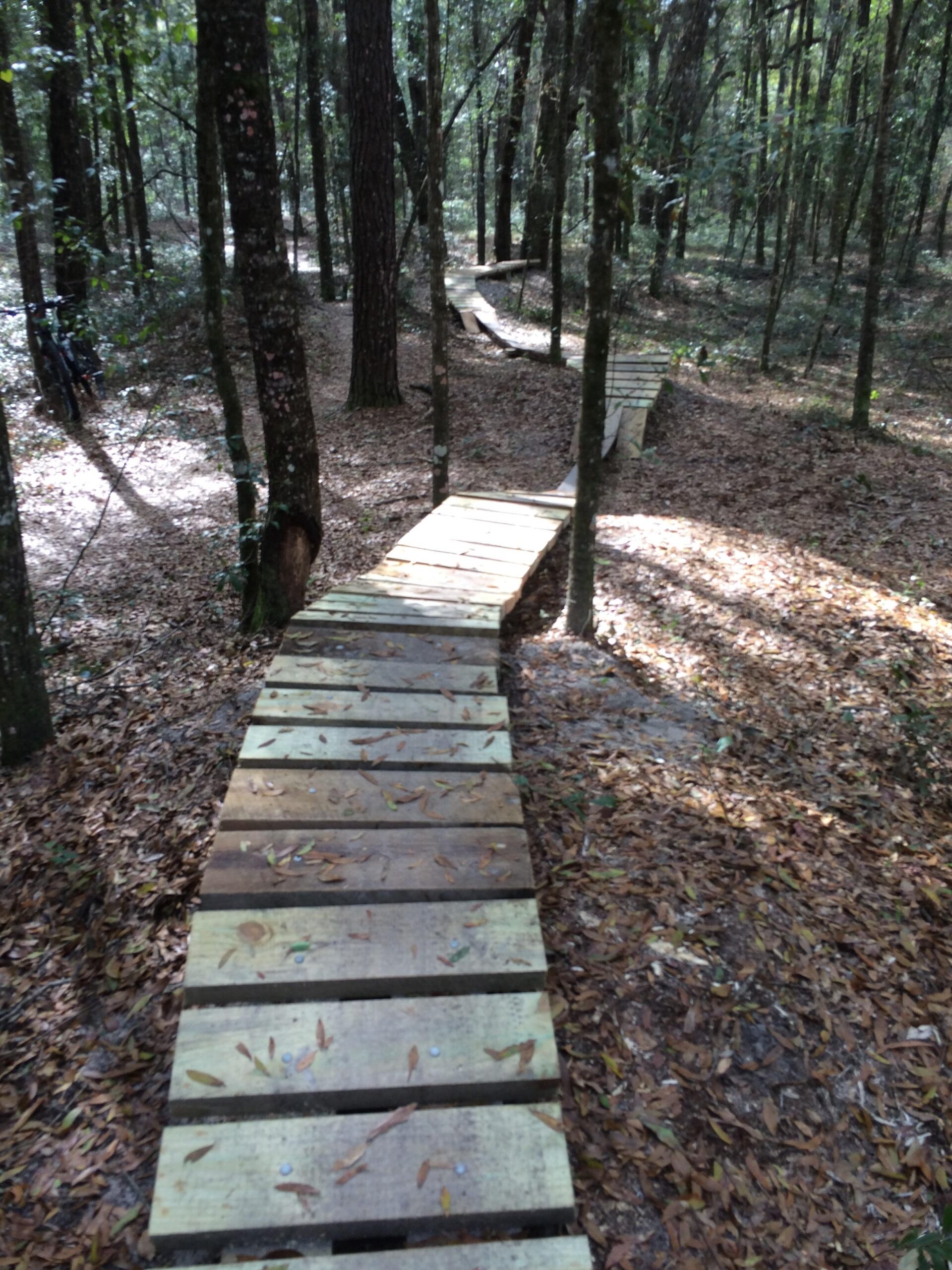 A winding wooden pathway surrounded by tall trees in a forest, with fallen leaves scattered along the ground. The path is elevated and well-constructed, leading deeper into the greenery. Bunny mountain bike trail.