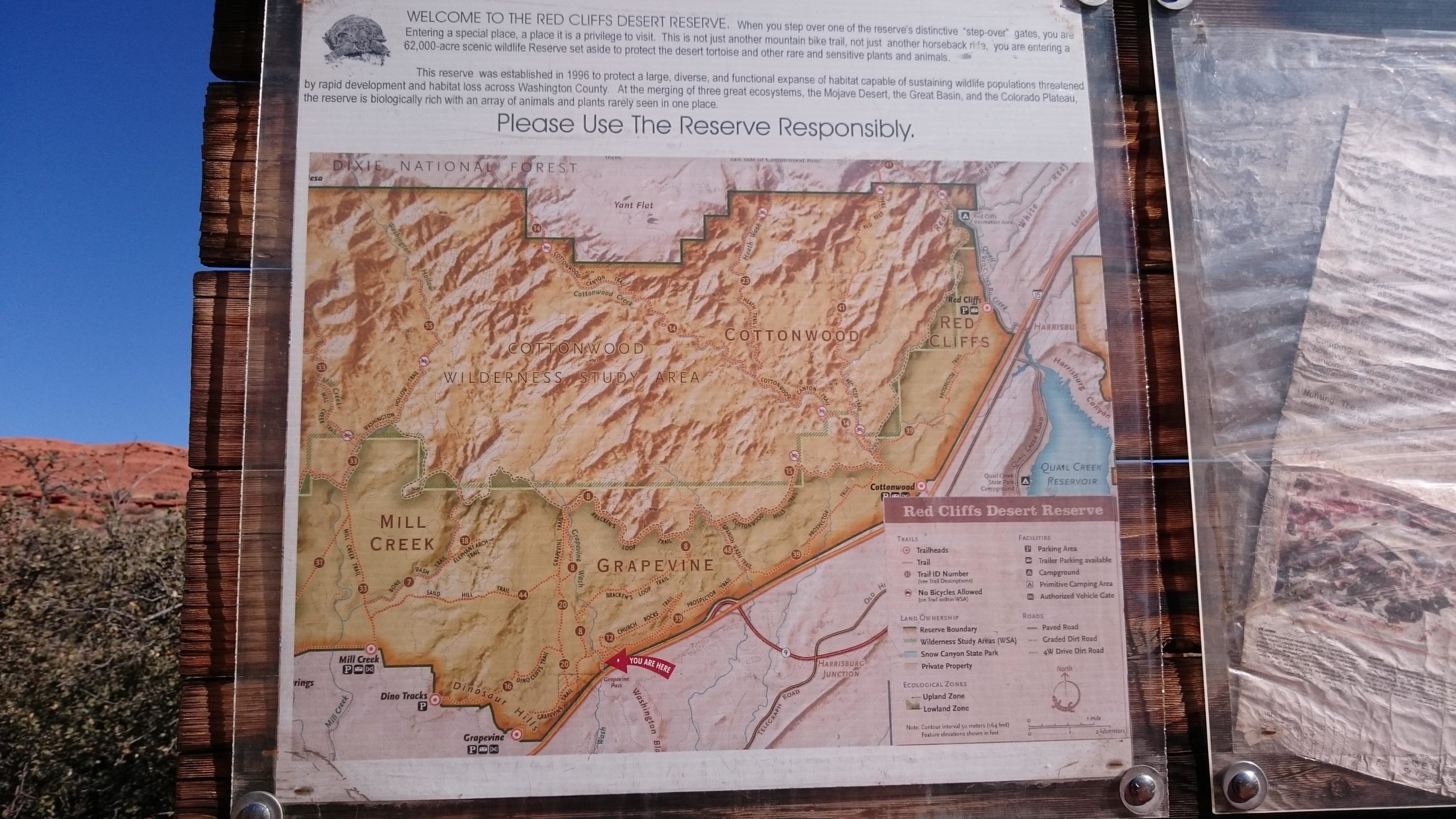 Map of the Red Cliffs Desert Reserve, detailing trails, landmarks, and guidelines for visitors. The map includes locations such as Grapevine and Mill Creek, along with information about ecological zones and recommended responsible usage of the reserve. Prospector - Church Rocks Loop mountain bike trail.