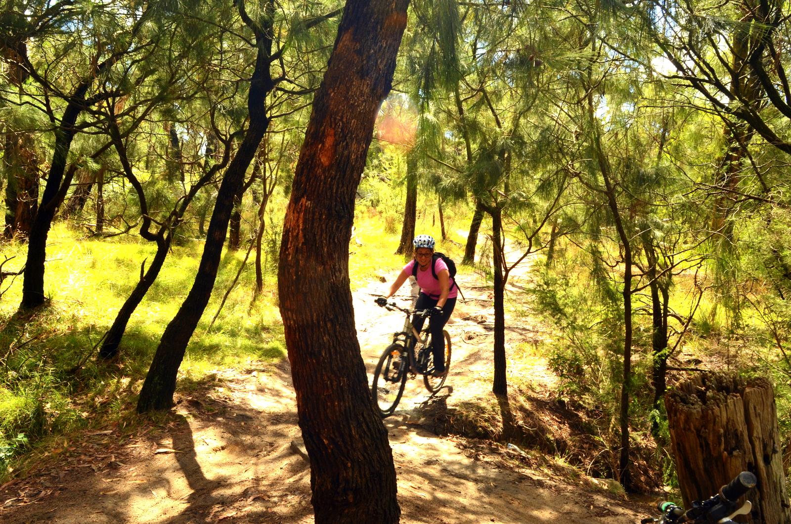 A cyclist riding a mountain bike along a dirt trail in a sunny forest, surrounded by tall trees and lush greenery. The cyclist is wearing a pink shirt and a helmet, smiling as they navigate the winding path. Lysterfield Mountain Bike Area mountain bike trail.