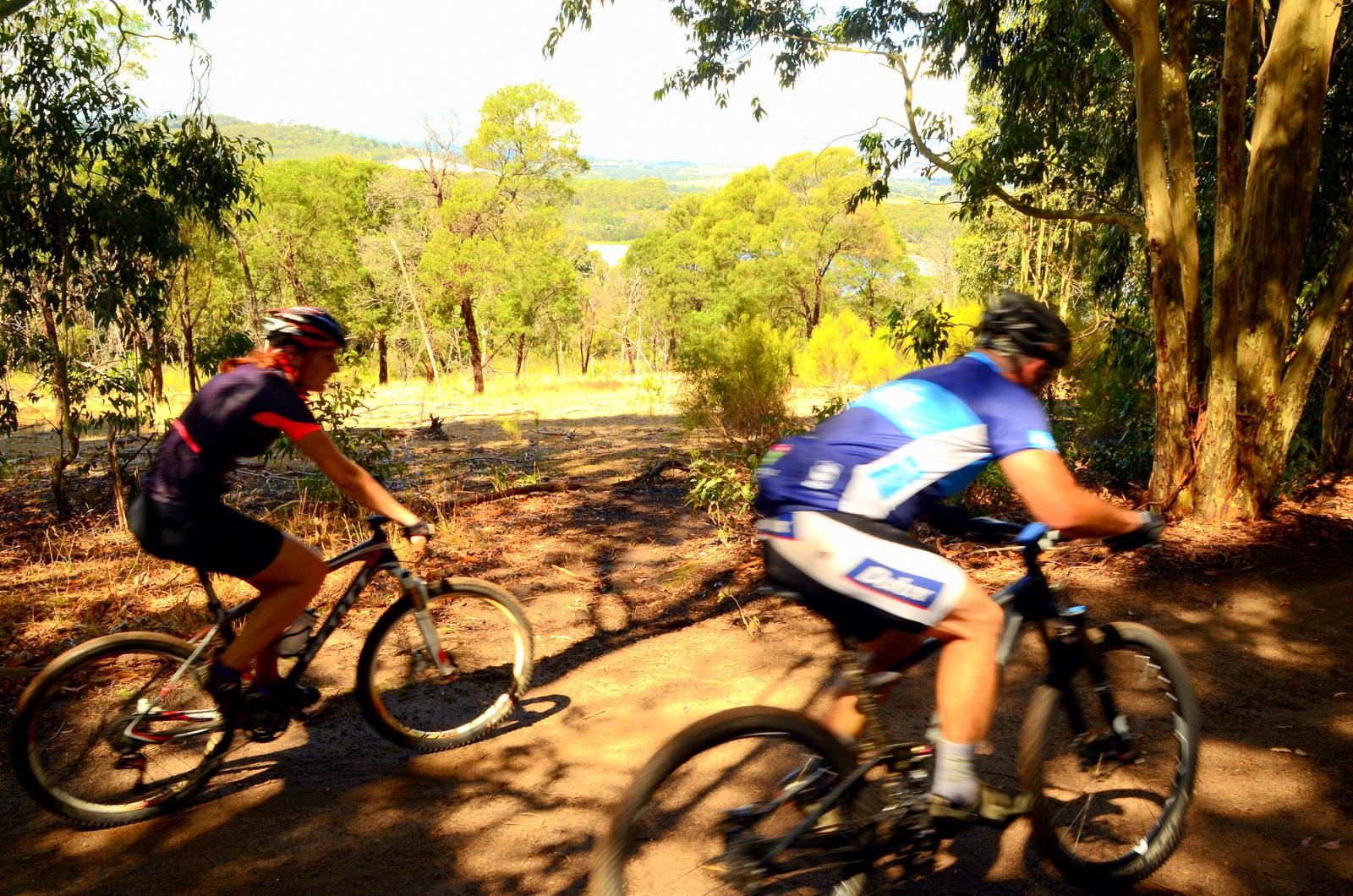 Two mountain bikers are riding along a dirt trail surrounded by green trees and a natural landscape. The scene captures one rider in a red and black outfit and another in a blue and white outfit, both in motion. The background features a mix of trees and open fields, suggesting a sunny day in a scenic outdoor setting. Lysterfield Mountain Bike Area mountain bike trail.