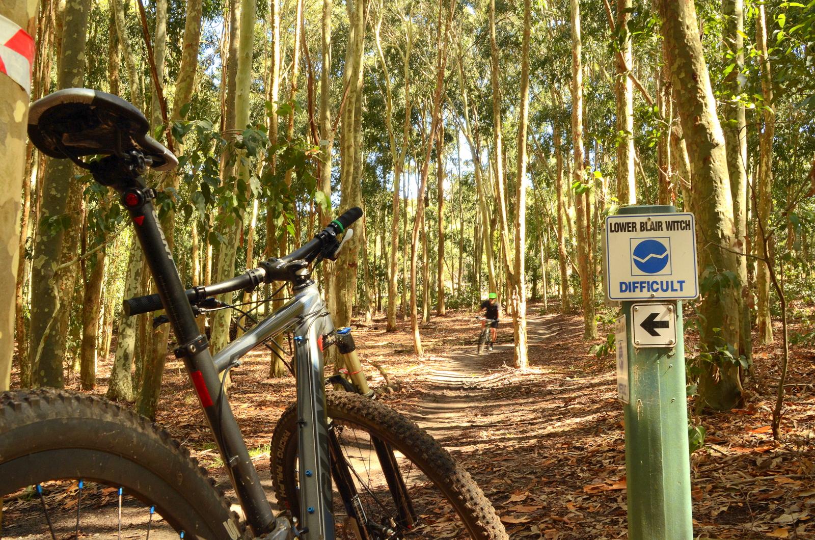A mountain bike rests on the ground in a forest of tall eucalyptus trees, with the trail winding in the background. A sign labeled "Lower Blair Witch" indicates the trail is difficult. Sunlight filters through the trees, casting dappled shadows on the ground. Lysterfield Mountain Bike Area mountain bike trail.