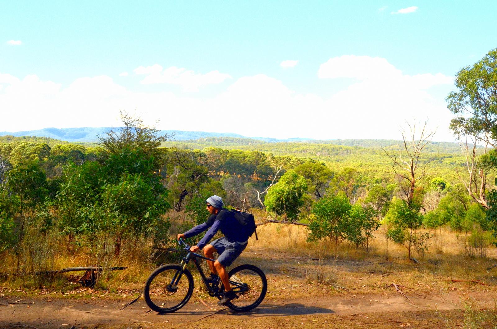 A person riding a mountain bike on a dirt path surrounded by green trees and shrubs, with rolling hills and a clear blue sky in the background. Lysterfield Mountain Bike Area mountain bike trail.