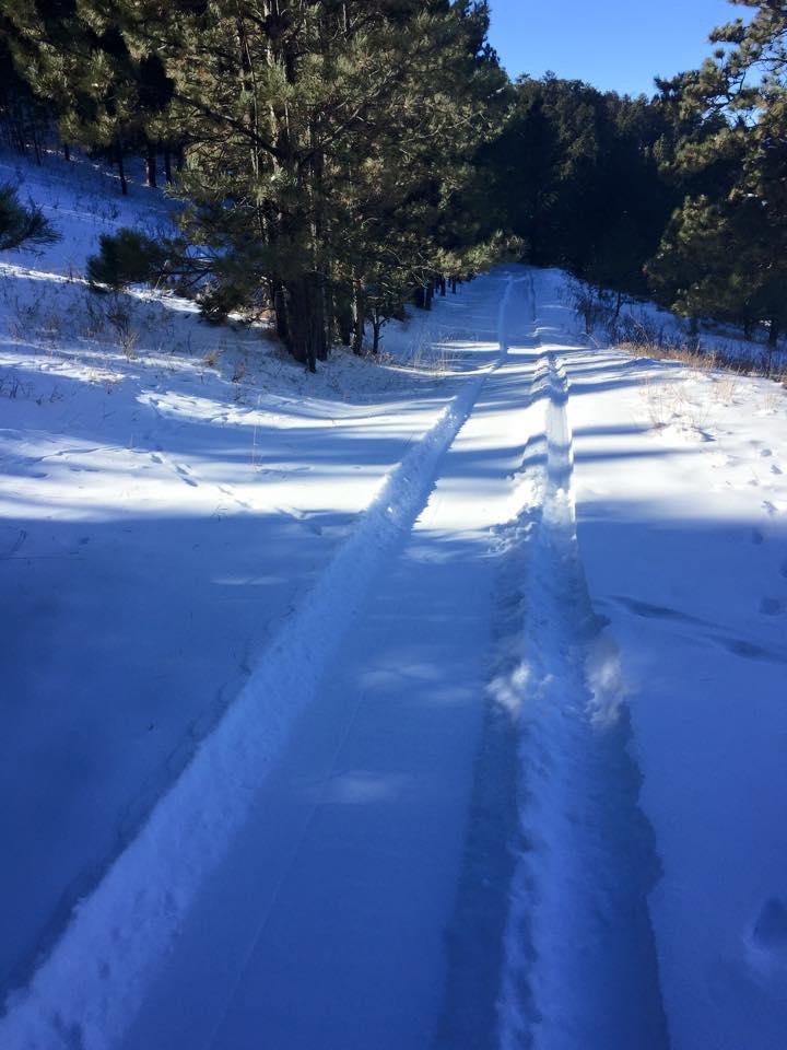 A snow-covered path winding through a forest, with tire tracks leading into the distance. Sunlight filters through the trees, creating a play of light and shadow on the fresh snow. Fish Canyon Recreation Area mountain bike trail.