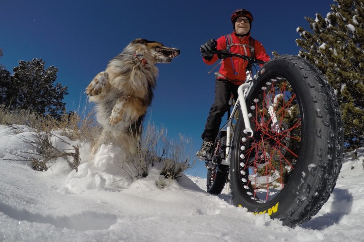 A person riding a fat tire bike in the snow, smiling while a playful dog jumps nearby. The scene features a clear blue sky and snowy terrain, with trees in the background.