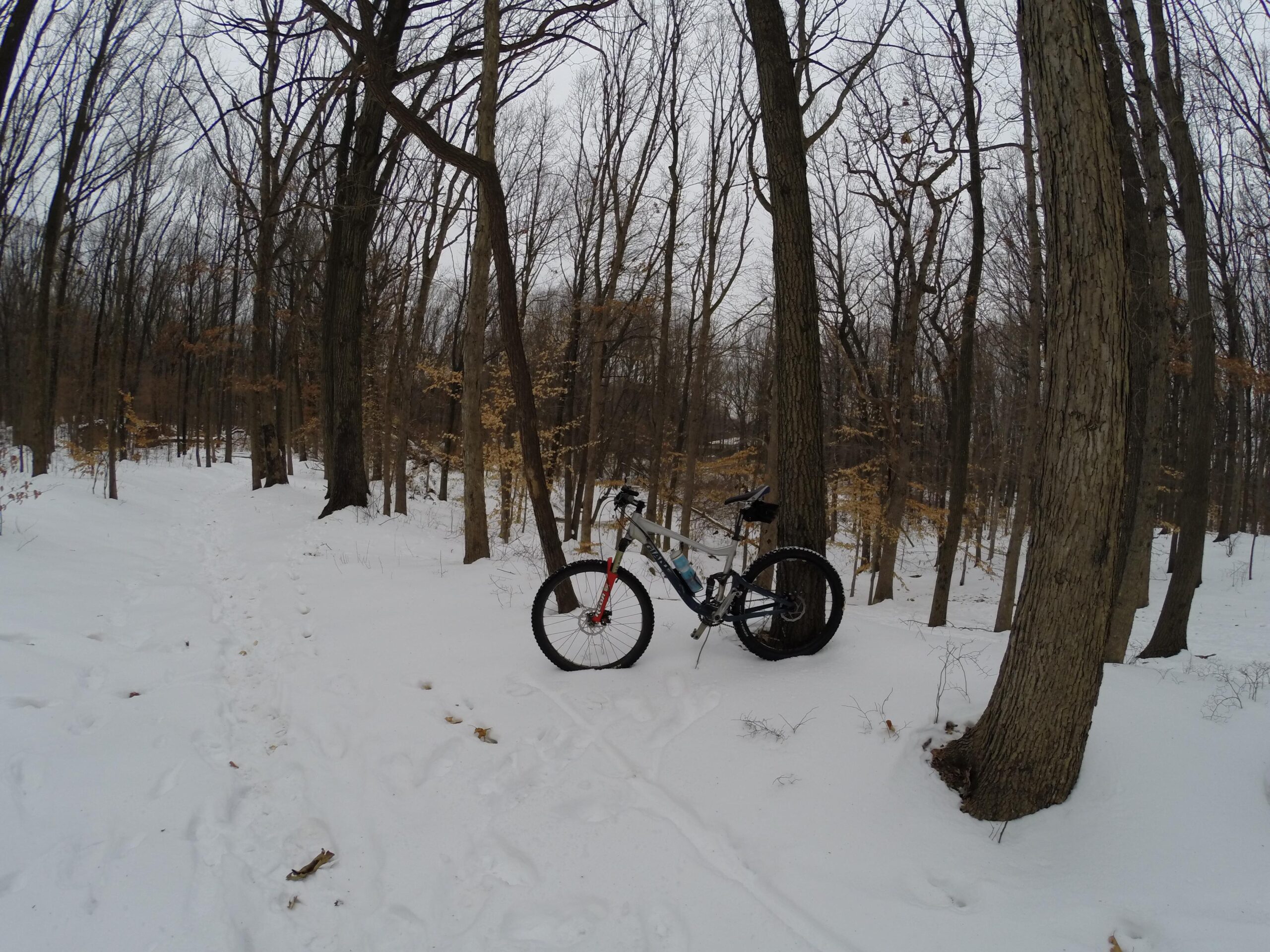 A fat bike parked on a snowy trail surrounded by bare trees in a winter forest setting. The scene includes fresh snow covering the ground, with a visible bike path and footprints leading through the woods. The overcast sky adds to the wintry atmosphere. Trails seperated by streets mountain bike trail.