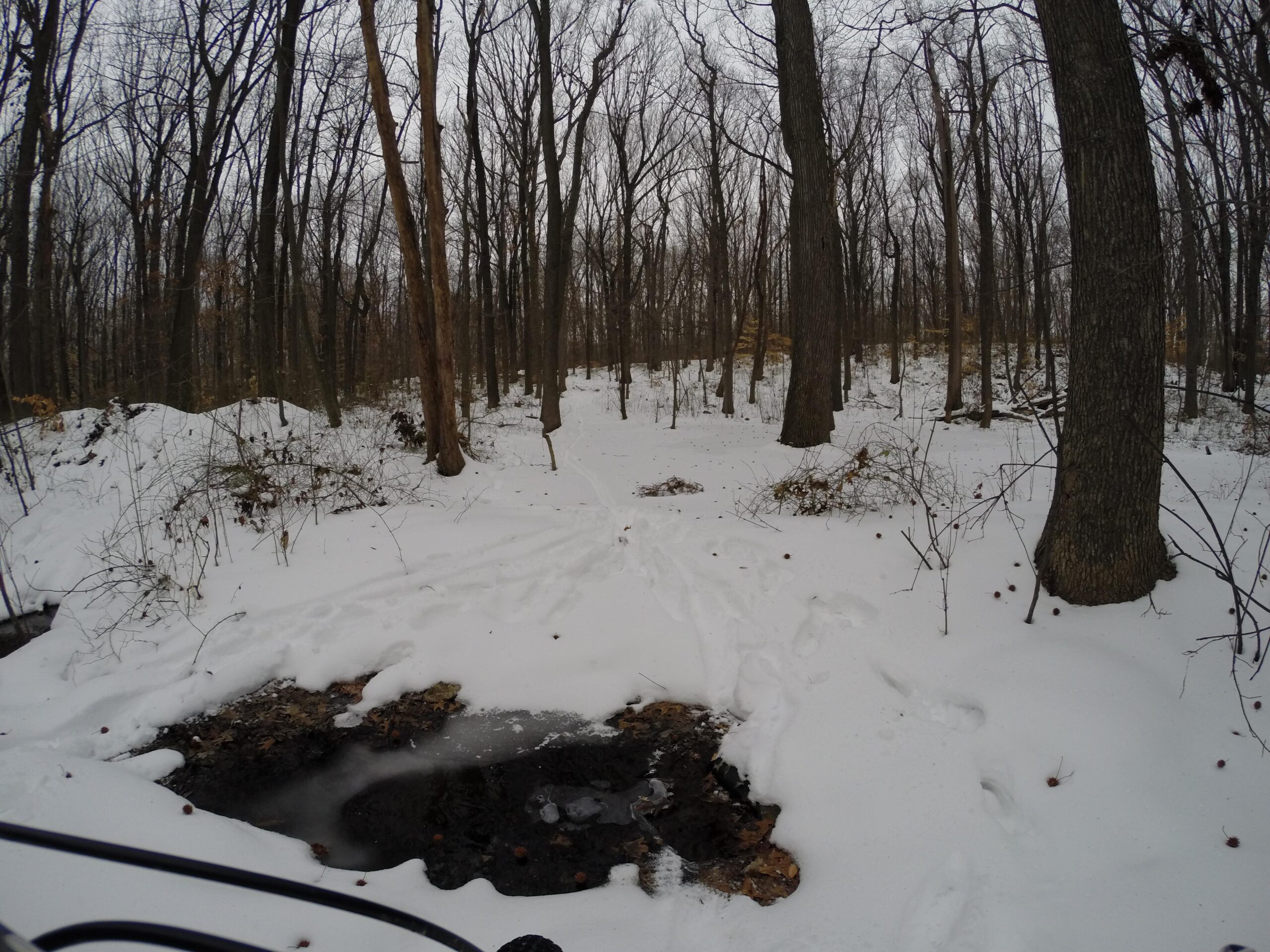 A snow-covered forest scene with bare trees and a small stream partially frozen. Footprints can be seen in the snow, leading through the tranquil landscape. The atmosphere is calm and serene, highlighting the stillness of winter in nature. Trails seperated by streets mountain bike trail.