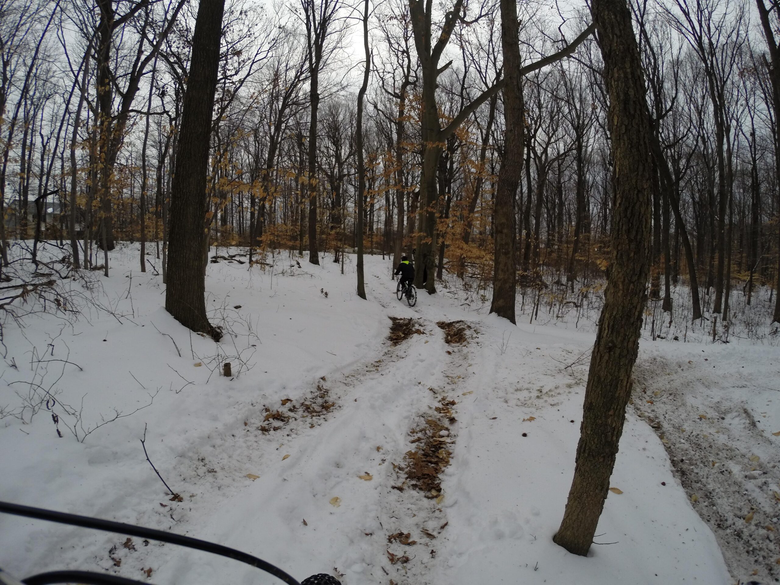 A cyclist navigating a snowy trail in a forested area during winter, with leafless trees and patches of remaining autumn leaves visible on the ground. The scene captures the serene beauty of nature in cold weather. Trails seperated by streets mountain bike trail.