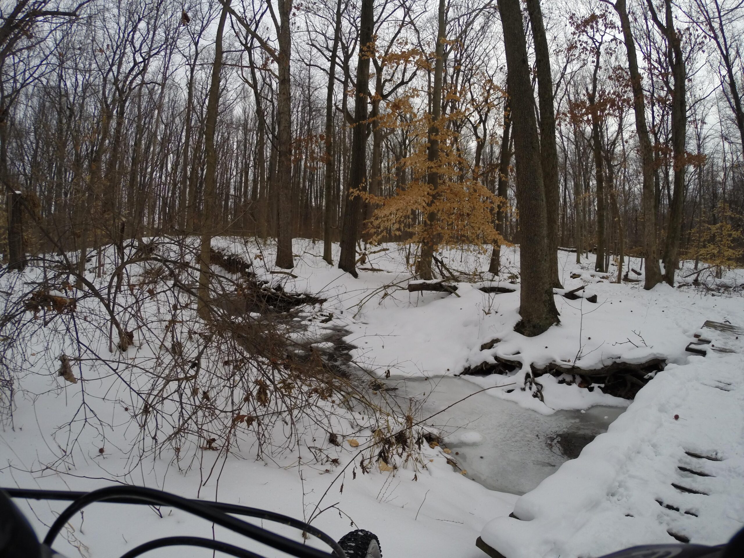 A winter landscape featuring a snow-covered forest with bare trees. A small stream runs through the scene, partially frozen, and there is a wooden bridge crossing over it. Snow blankets the ground, and a few dry leaves cling to the branches, hinting at the changing seasons. The image captures a serene, tranquil atmosphere in nature during winter. Trails seperated by streets mountain bike trail.