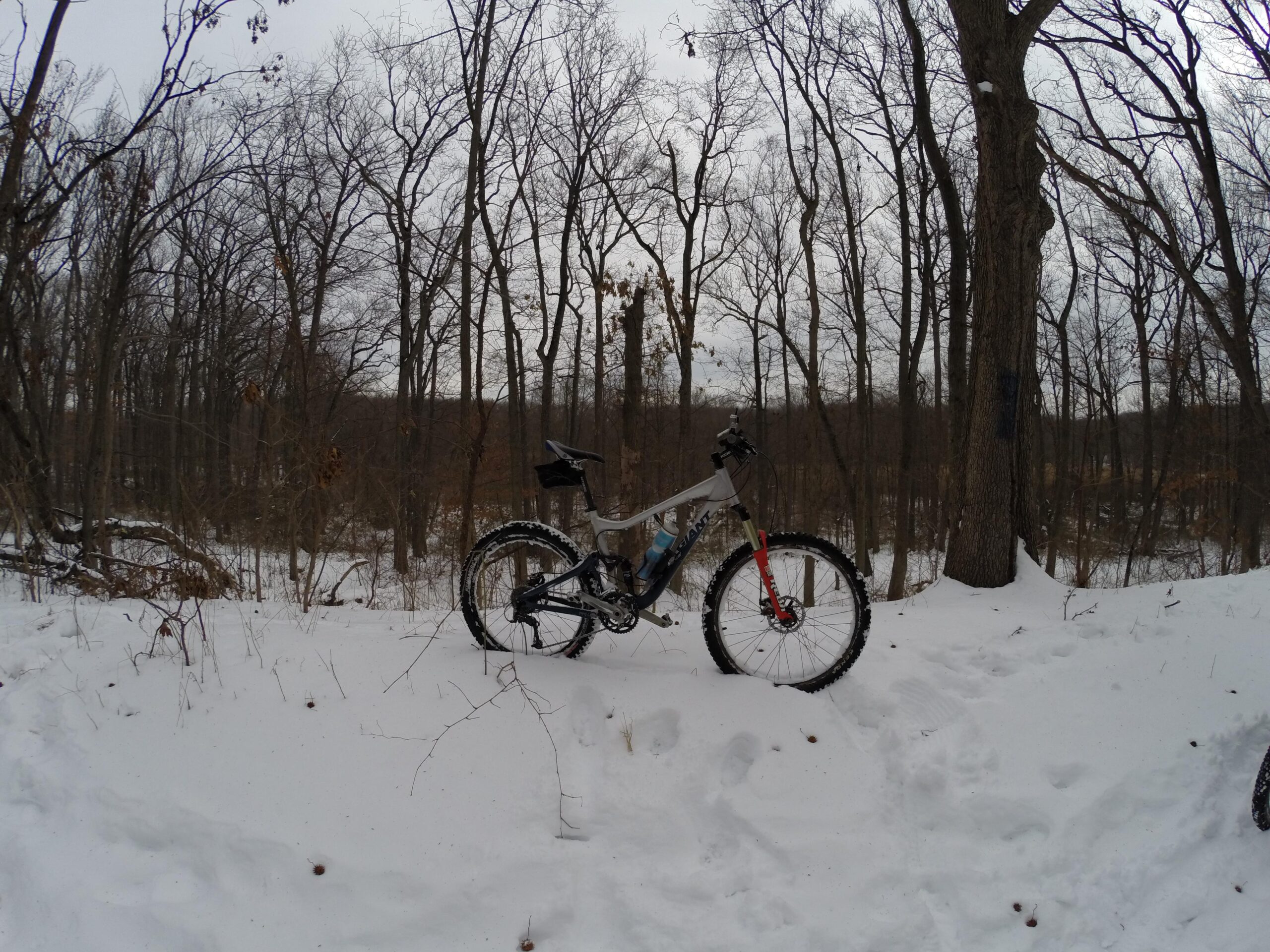 A mountain bike positioned on a snowy trail in a wooded area, surrounded by bare trees under a cloudy sky. The ground is covered in snow, indicating winter conditions. Wolfes Pond park mountain bike trail.
