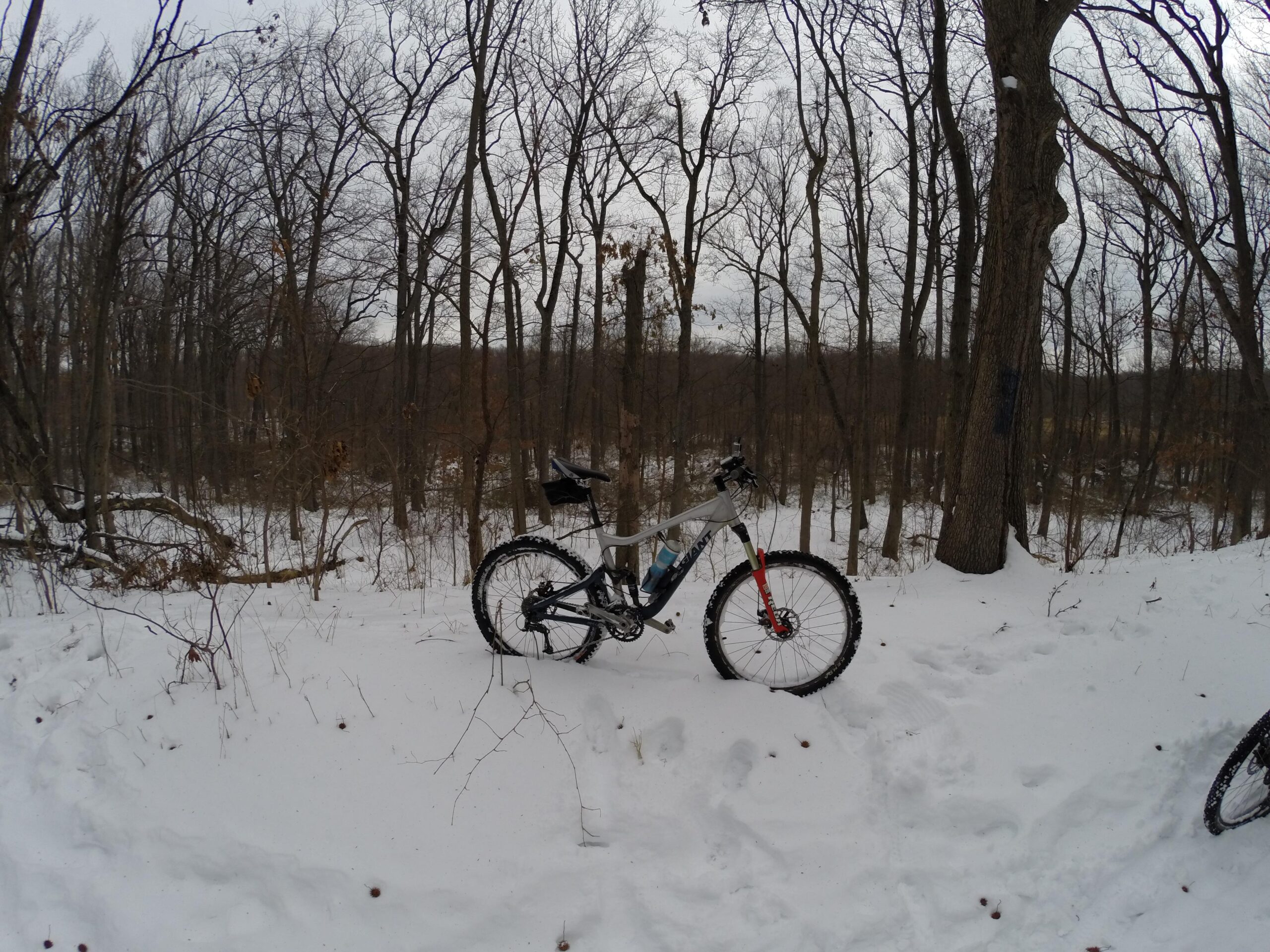 A mountain bike parked on a snowy trail surrounded by bare trees in a winter forest setting. The ground is covered in a layer of fresh snow, and the scene is overcast with gray skies. Wolfes Pond park mountain bike trail.