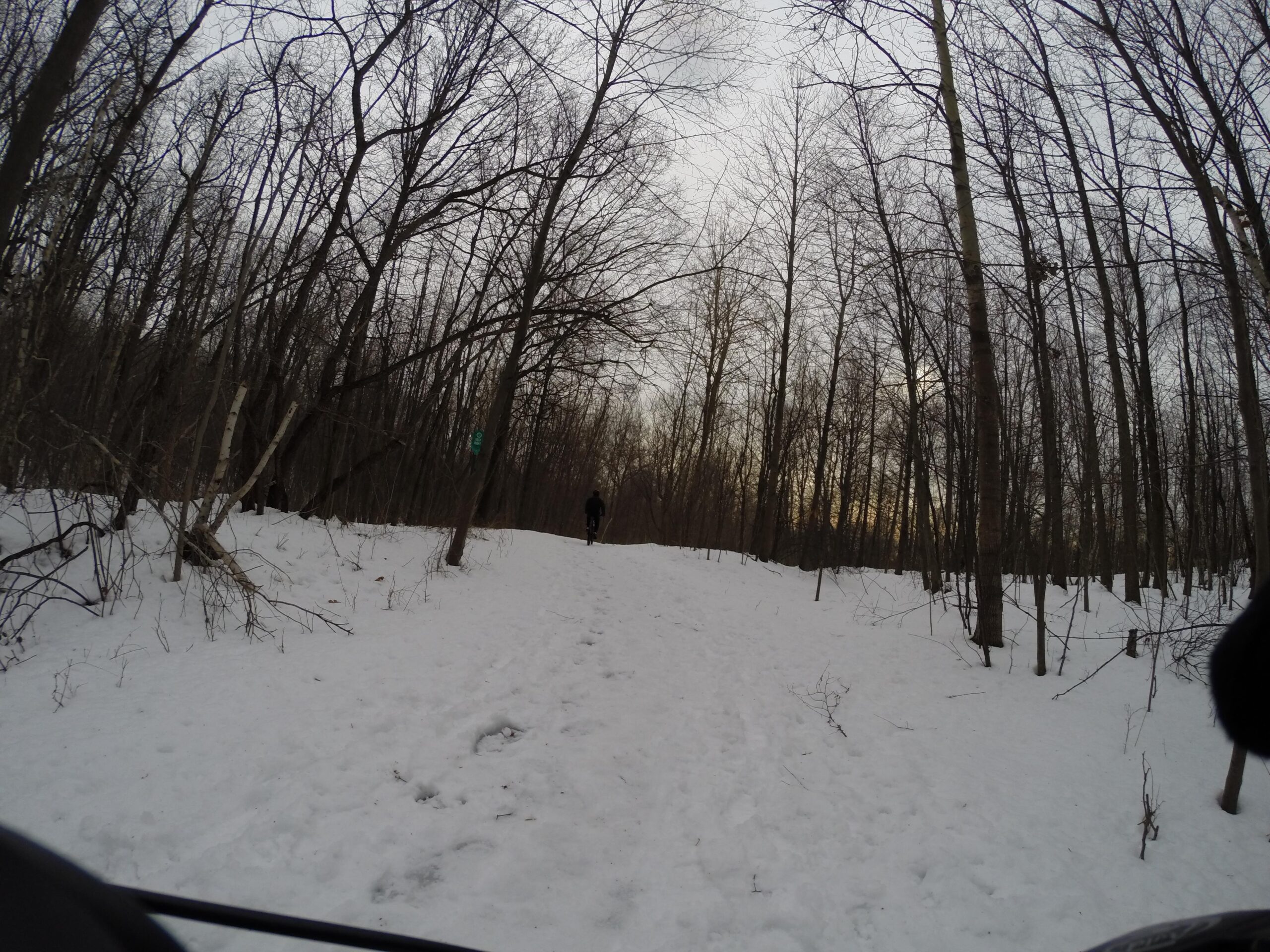 A snow-covered trail winding through a forest of bare trees, with a lone figure walking in the distance. The scene is set on a cloudy day, with soft light filtering through the branches. Richmond Avenue and Forest Hill road mountain bike trail.