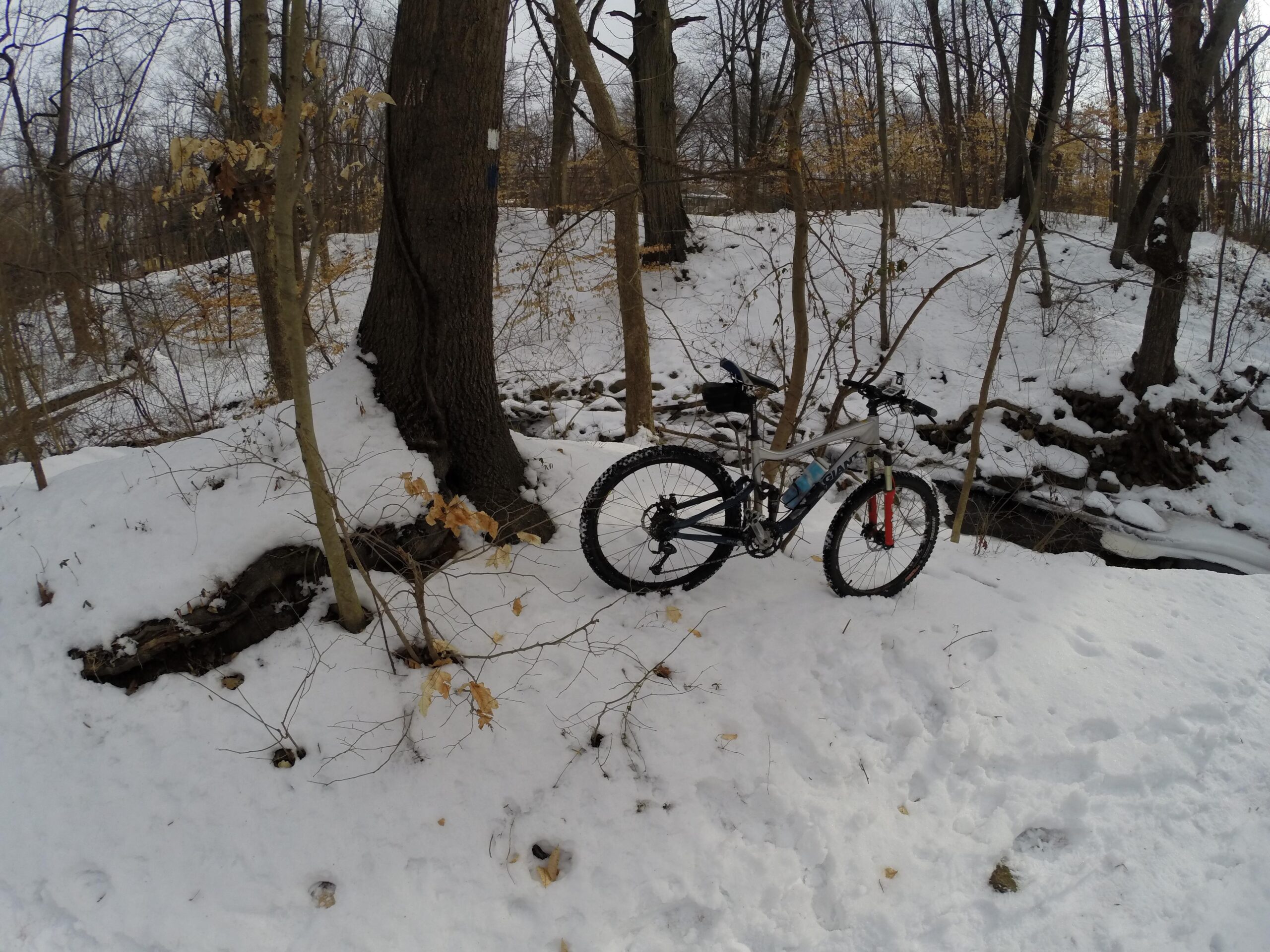 A mountain bike is parked on a snowy path in a wooded area, next to a tree with some leaves still clinging to its branches. The ground is covered with fresh snow, and a small stream is visible in the background, partially frozen. The scene is serene and captures the essence of winter in the woods. Richmond Avenue and Forest Hill road mountain bike trail.