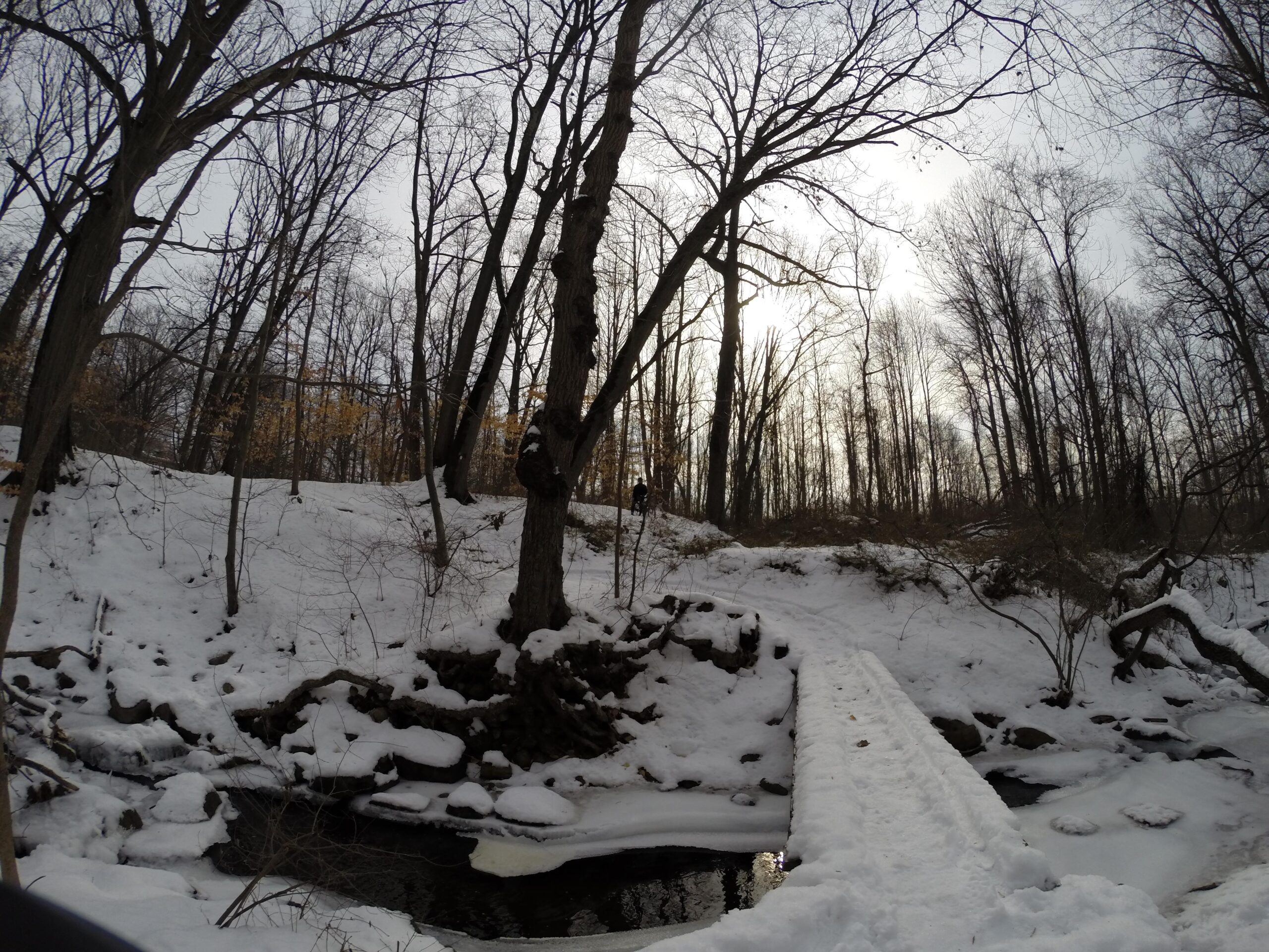 A serene winter landscape featuring a snowy hillside and bare trees. A narrow wooden bridge crosses over a small, partially frozen stream, surrounded by snow-covered rocks and vegetation. The sun peeks through the clouds, casting a soft light over the scene. Richmond Avenue and Forest Hill road mountain bike trail.