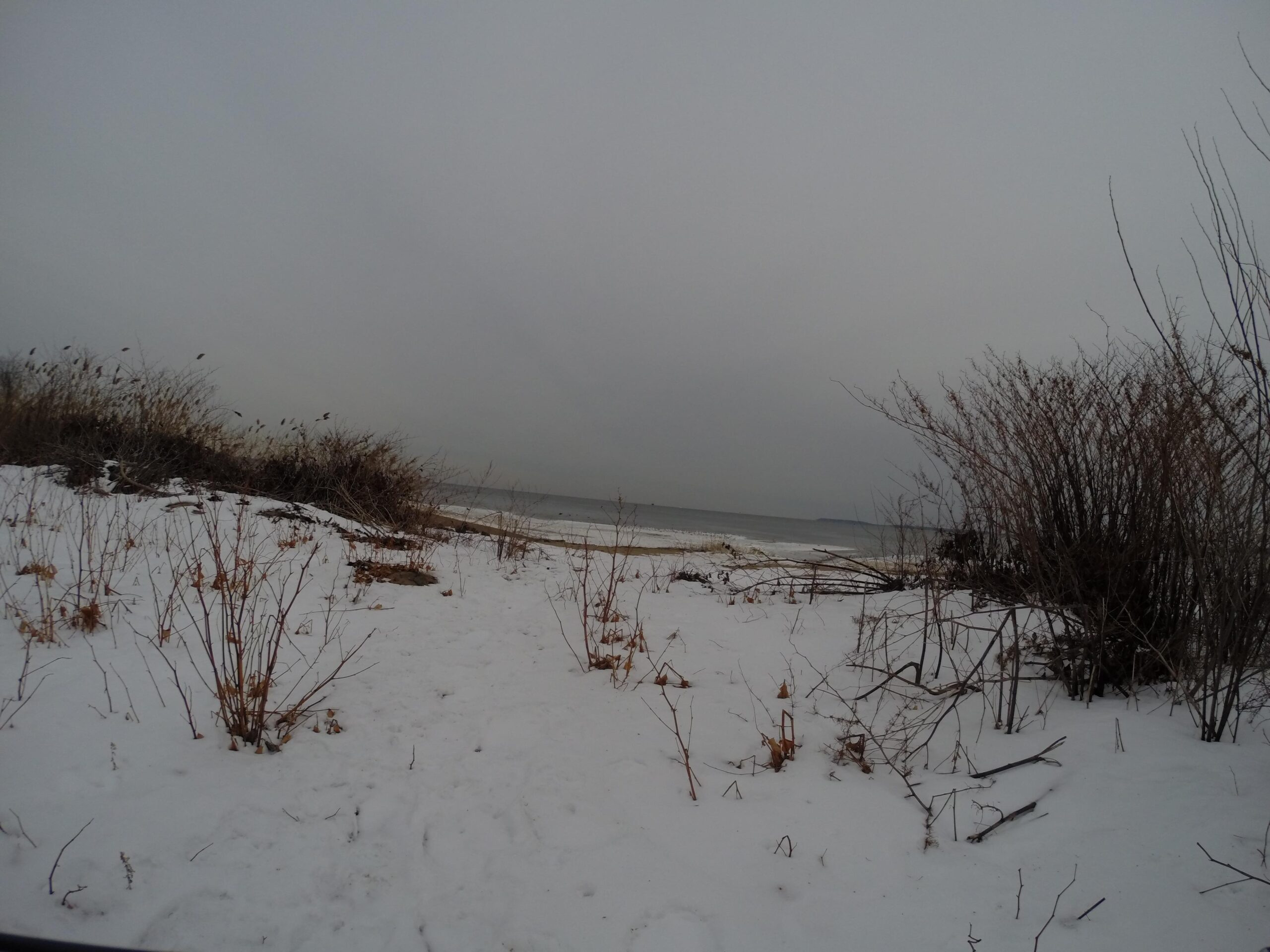 A snowy beach scene with muted gray skies. The foreground features patches of snow and sparse vegetation, including dry grasses and small shrubs. In the background, the calm ocean meets the shore, blending into the overcast horizon. Staten Island Beach mountain bike trail.