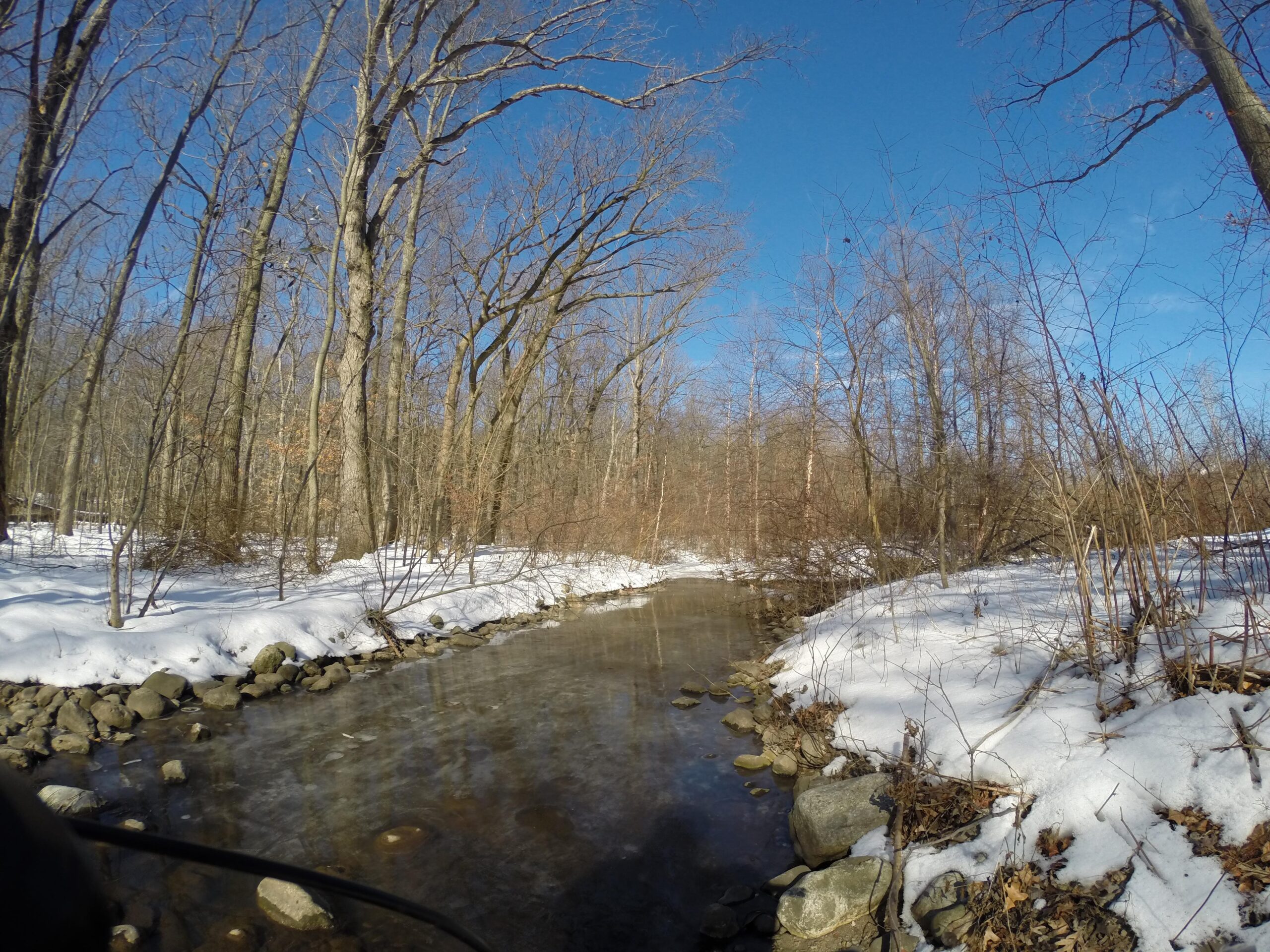 A serene winter landscape featuring a shallow stream surrounded by snow-covered ground and bare trees. The clear blue sky contrasts with the white snow, creating a peaceful atmosphere in a forested area. Wolfes Pond park mountain bike trail.