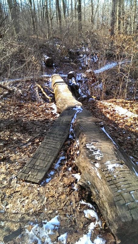 A fallen tree trunk laid across a forest trail, surrounded by leaf litter and sparse patches of snow. Bare trees and underbrush are visible in the background, indicating early winter conditions. The trunk shows signs of wear and texture along its surface. White Clay Creek mountain bike trail.