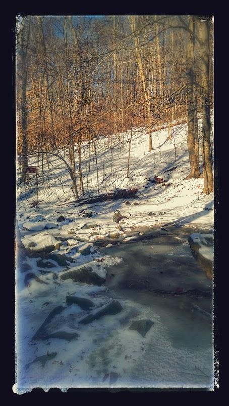 A winter scene featuring a snow-covered landscape with bare trees. A small frozen stream flows through the rocky terrain, with patches of ice and snow surrounding the rocks. The sunlight filters through the trees, creating a serene atmosphere. Patapsco Valley State Park (Avalon Area) mountain bike trail.