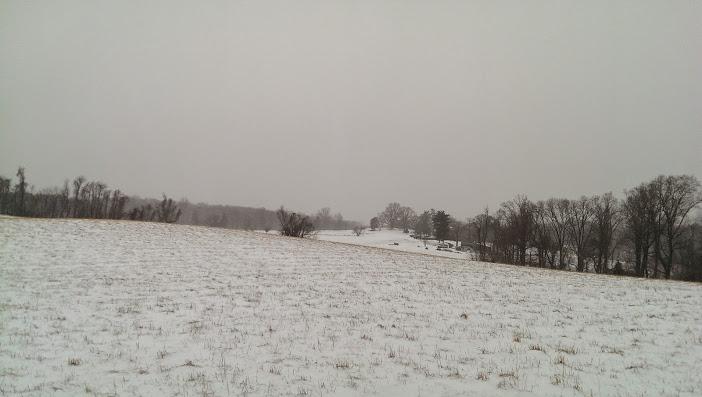 A snowy landscape featuring a gently sloping field covered in white snow, with sparse patches of grass visible. In the background, a row of bare trees lines the horizon under a grey, overcast sky. The scene conveys a quiet, winter atmosphere. Patapsco Valley State Park (Avalon Area) mountain bike trail.