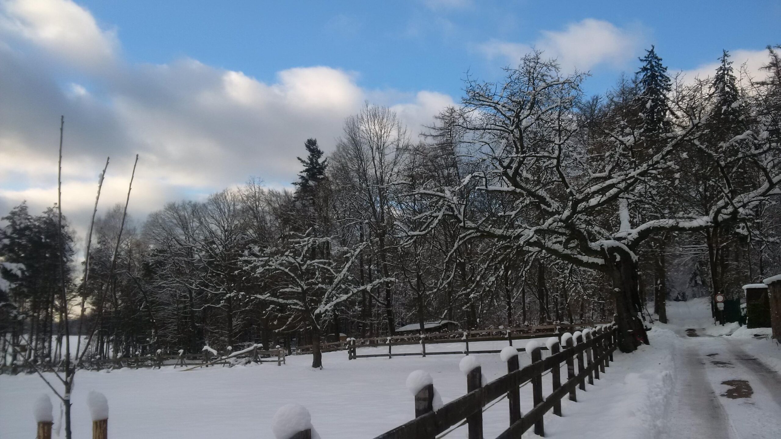 A snowy landscape featuring a serene path bordered by a wooden fence. The snow-covered ground is contrasted by bare tree branches and a few evergreens in the background, all under a partly cloudy blue sky. The scene conveys a peaceful winter ambiance. Leimen/Johanniskreuz Trail mountain bike trail.