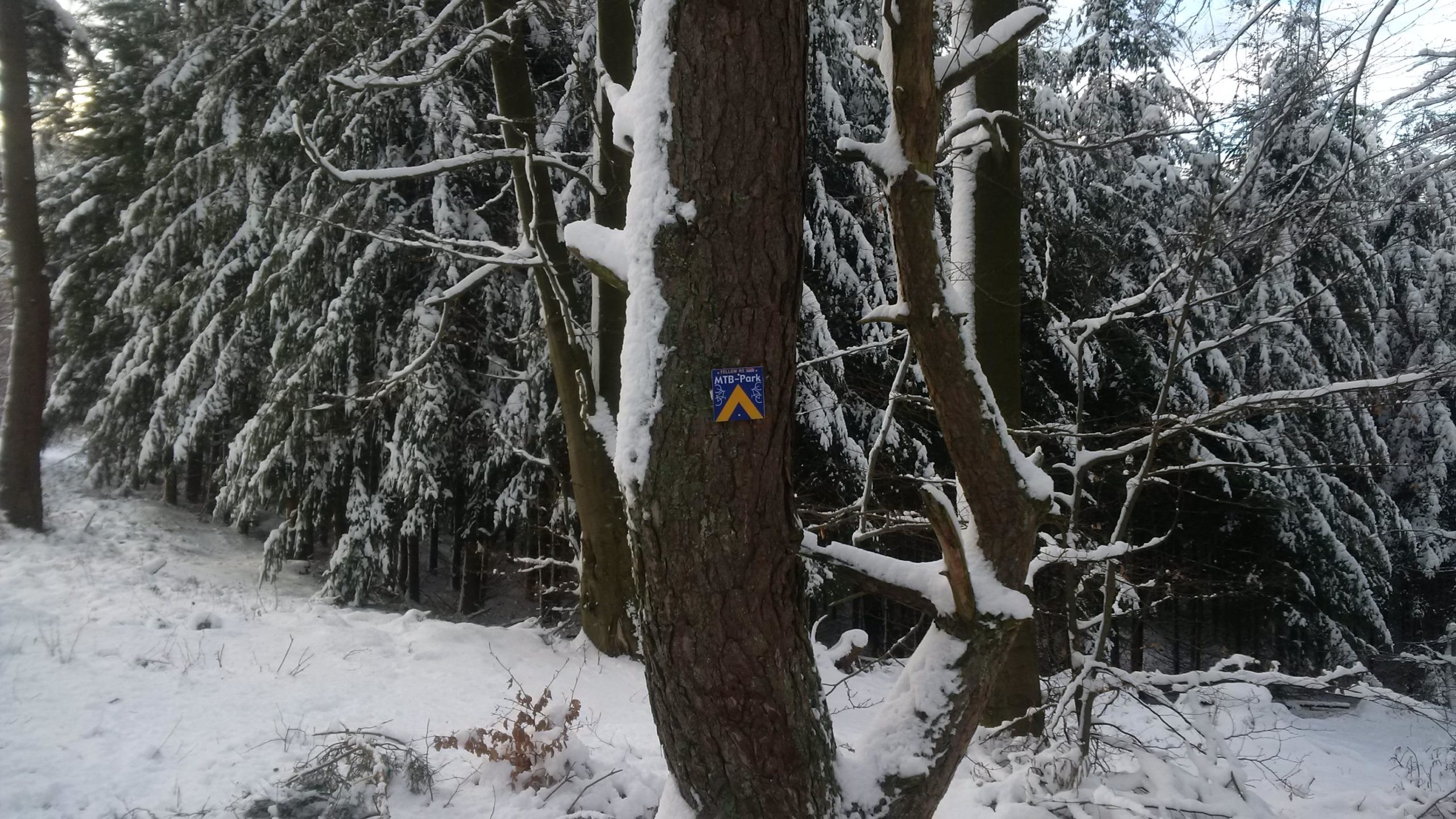 A snow-covered forest scene featuring a tree with a blue and yellow trail marker for an MTB park. The surrounding trees are blanketed in snow, and the ground is also covered with a layer of white snow. Leimen/Johanniskreuz Trail mountain bike trail.