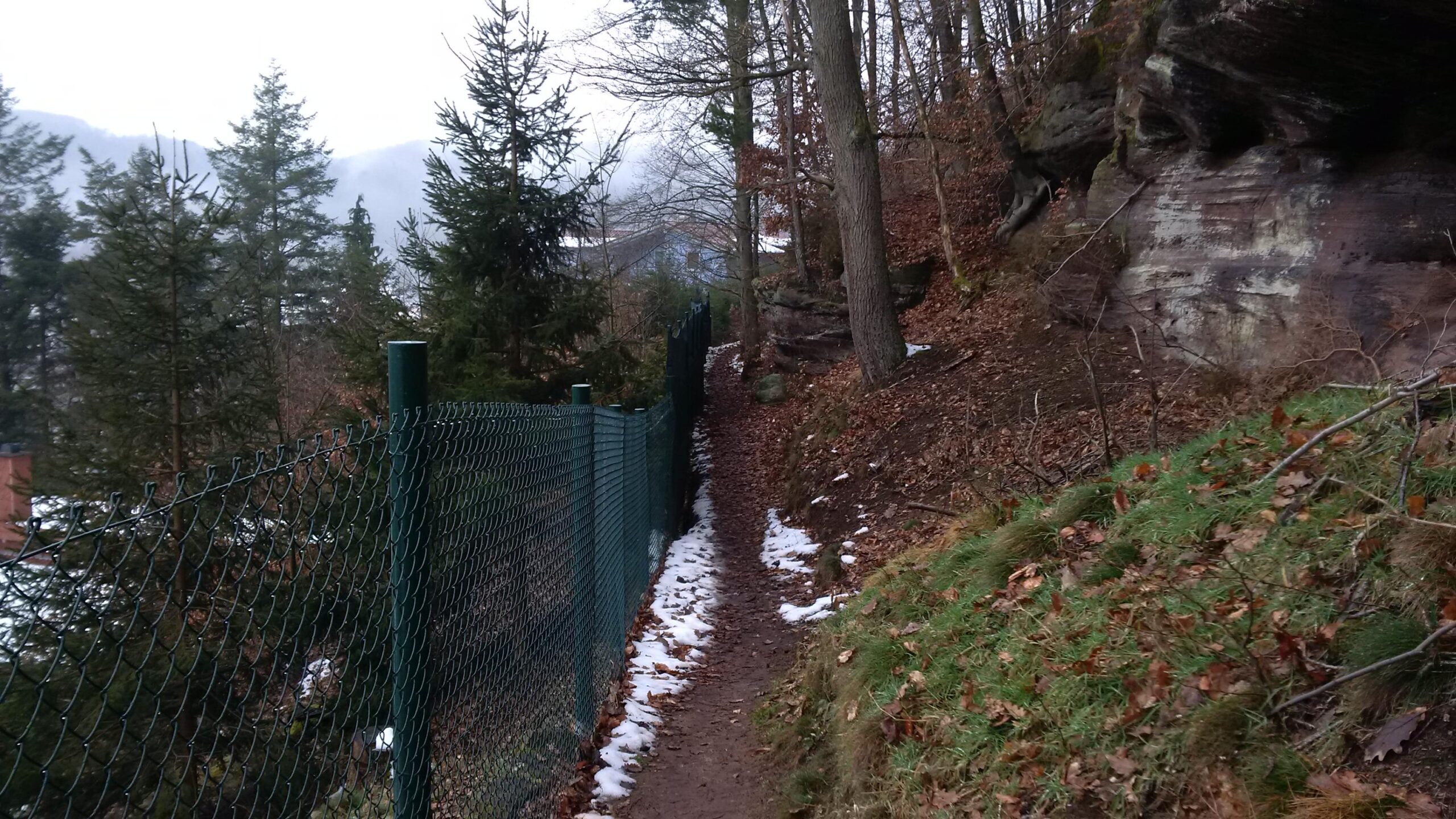 Narrow dirt path flanked by a green chain-link fence, leading through a forested area with pine trees and patches of snow on the ground. Rocky terrain is visible on one side, and fallen leaves cover the trail. A misty backdrop of hills can be seen in the distance. Rodalben F Trail mountain bike trail.