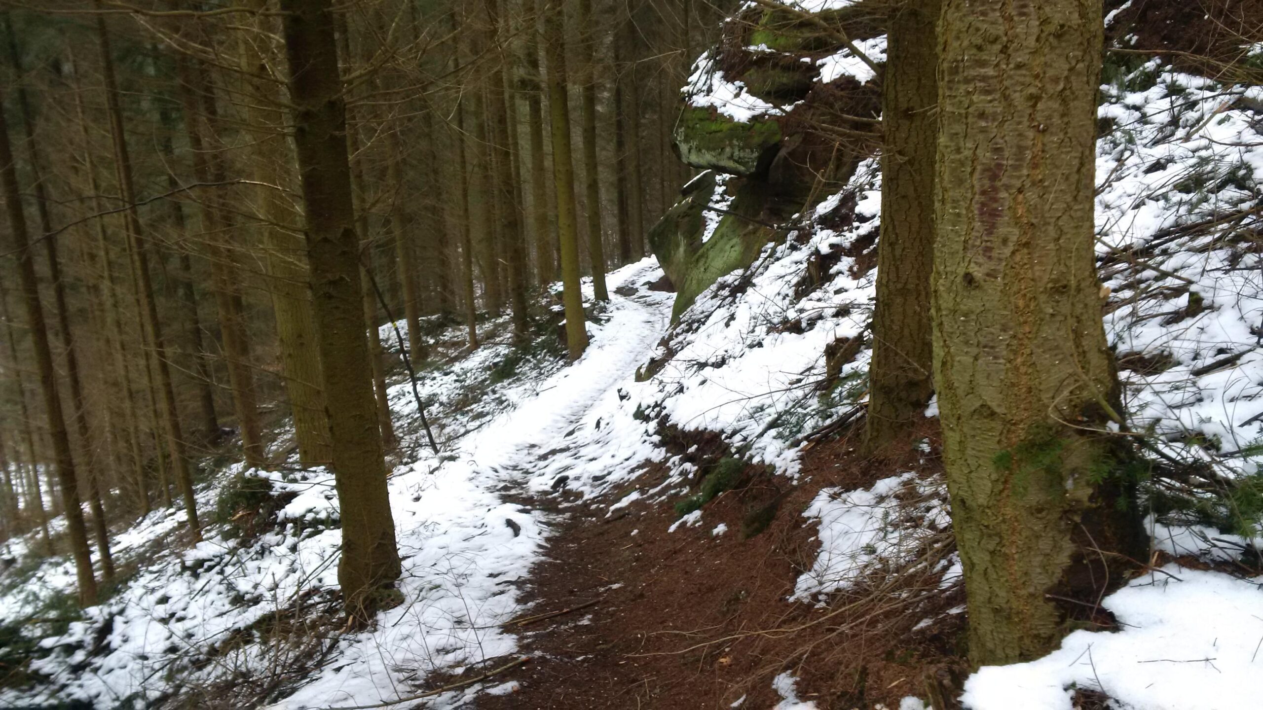 A snow-covered pathway winding through a dense forest, flanked by tall trees with bare branches. A rocky outcrop is visible on the right side of the path, partially covered in snow. The ground is a mix of dirt and snow, suggesting winter conditions in a natural setting. Rodalben F Trail mountain bike trail.