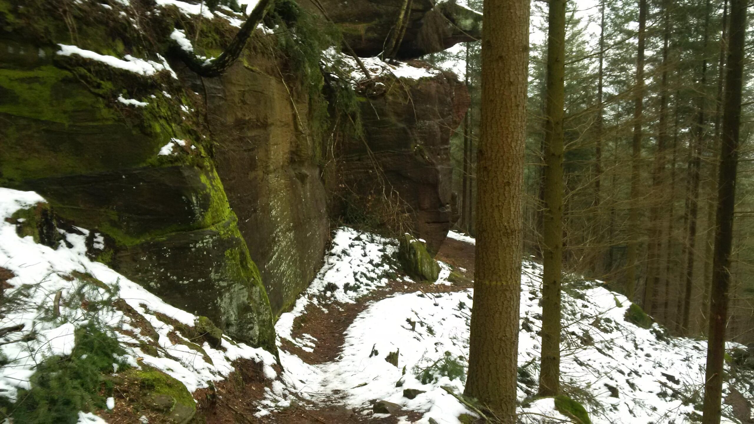A narrow, winding path through a forest during winter, flanked by moss-covered rocks and trees. A light dusting of snow covers the ground and some surfaces, creating a serene, natural atmosphere. The trees are tall and predominantly coniferous, with some branches appearing bare. Rodalben F Trail mountain bike trail.