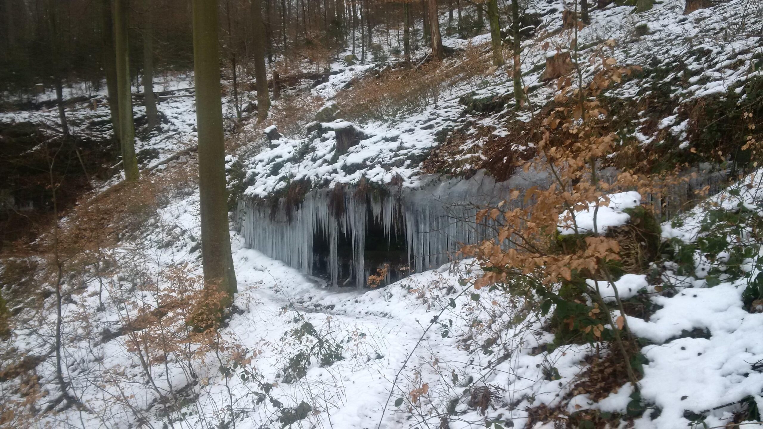 A winter landscape featuring a snowy forest with tall trees. In the foreground, there are patches of snow and remnants of autumn leaves on the ground. A rocky area is covered in icicles, creating a natural ice formation. The overall scene conveys a serene, cold atmosphere typical of a winter day. Rodalben F Trail mountain bike trail.