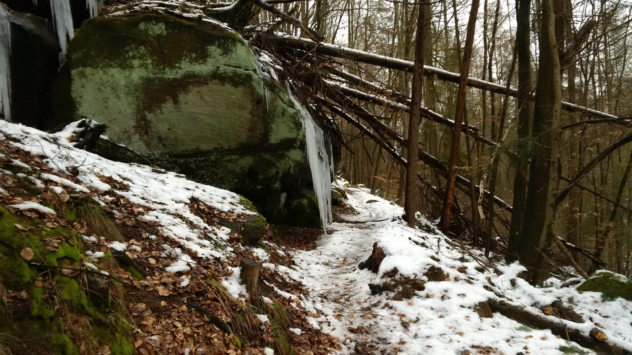 Pathway through a snowy forest, featuring a large moss-covered rock and icicles hanging from a ledge, with fallen branches and leaves scattered on the ground. Rodalben F Trail mountain bike trail.