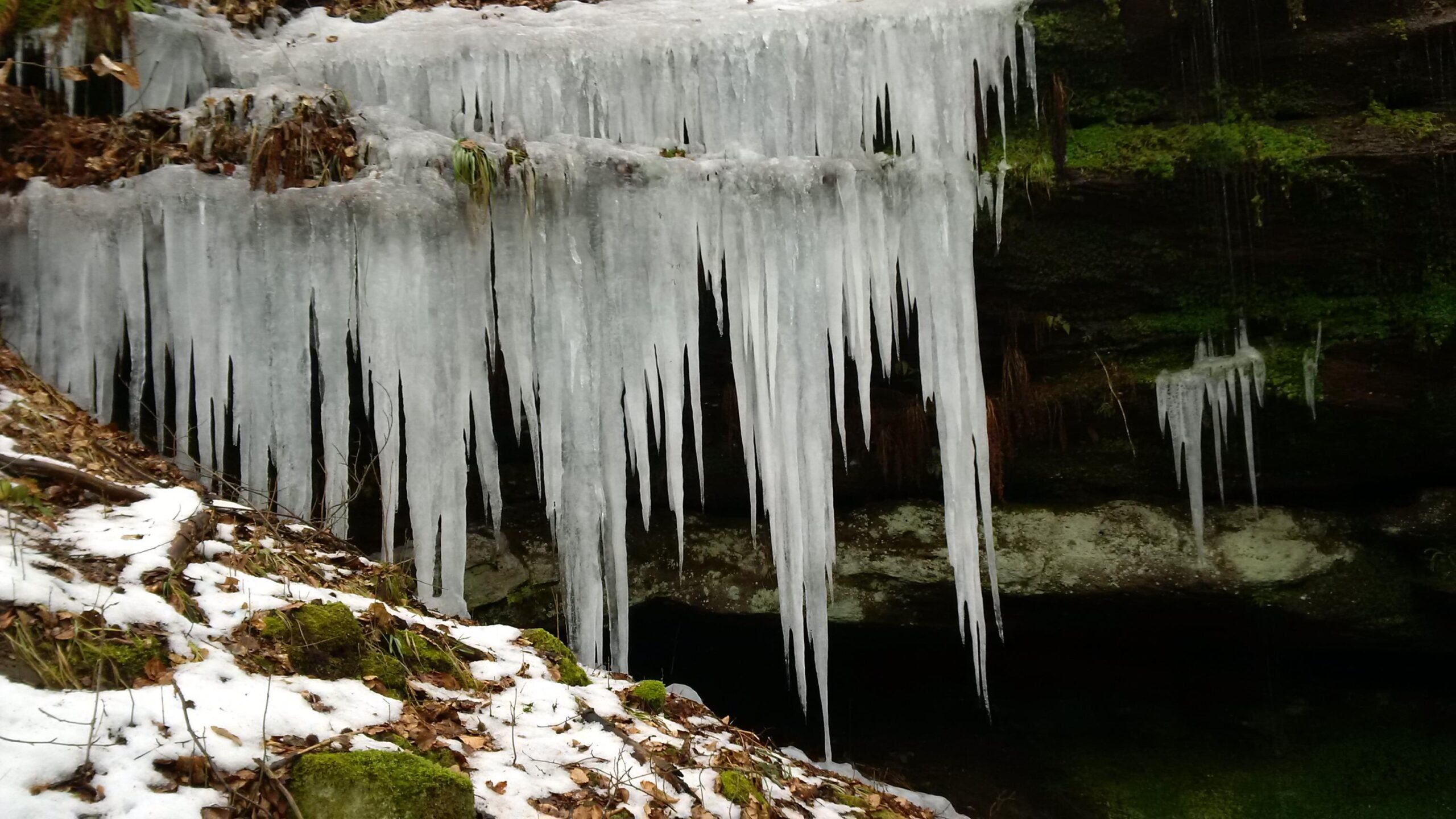 Icicles hanging from a rocky overhang, surrounded by fallen leaves and patches of snow. The area features green moss growing among the stones, contrasting with the icy formations and natural scenery. Rodalben F Trail mountain bike trail.
