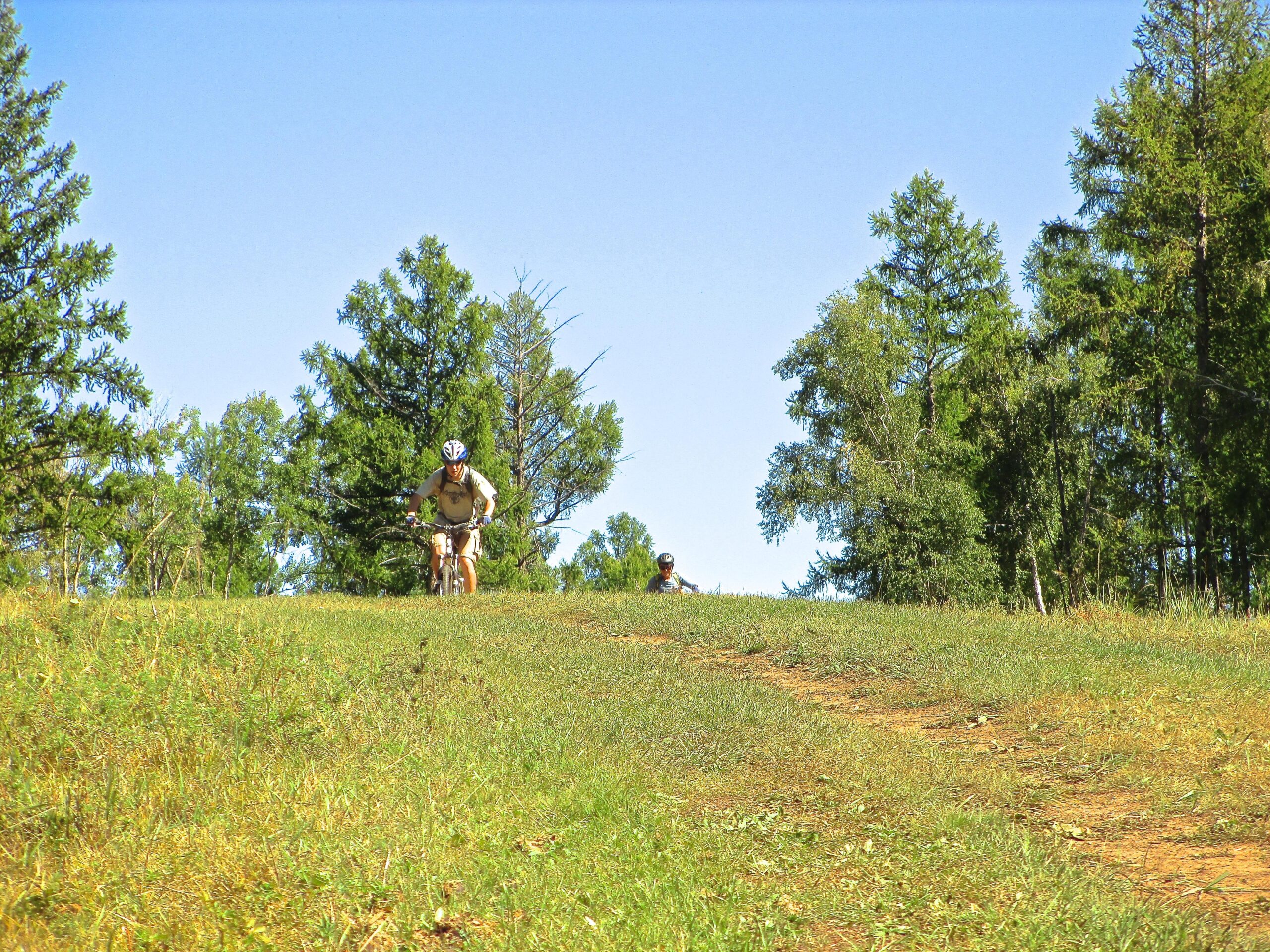 Two mountain bikers ride along a grassy path in a forested area, with tall trees and a clear blue sky in the background. The sun shines brightly, illuminating the scene as one biker ascends a hill while the other trails behind. Khargana Gol mountain bike trail.