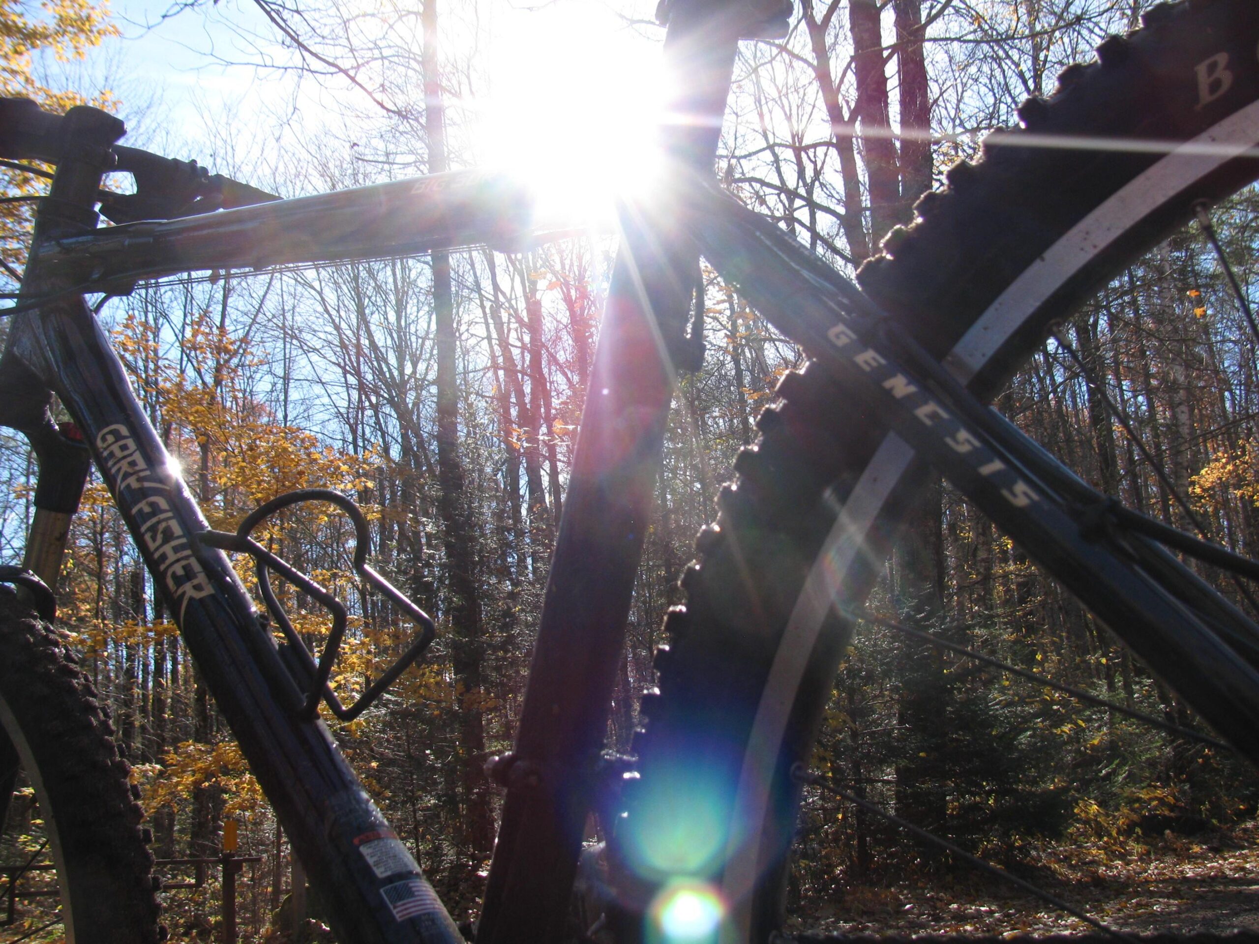 Gary Fisher Big Sur: A mountain bike parked in a forest setting, with sunlight shining through the trees, creating a lens flare effect. The frame of the bike is partially visible, showcasing the brand name and the detailed texture of the tire. Bright autumn foliage is visible in the background.