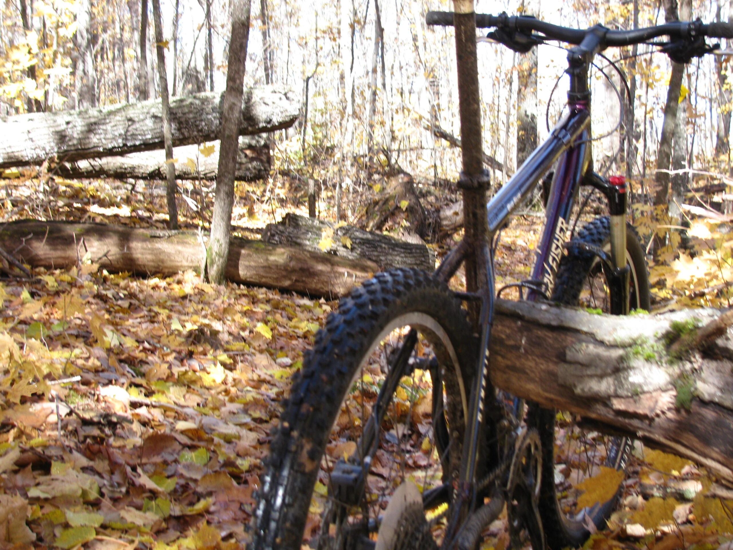 Gary Fisher Big Sur: A mountain bike partially obscured by fallen logs and surrounded by a carpet of autumn leaves in a forest setting. The background features trees with golden foliage.